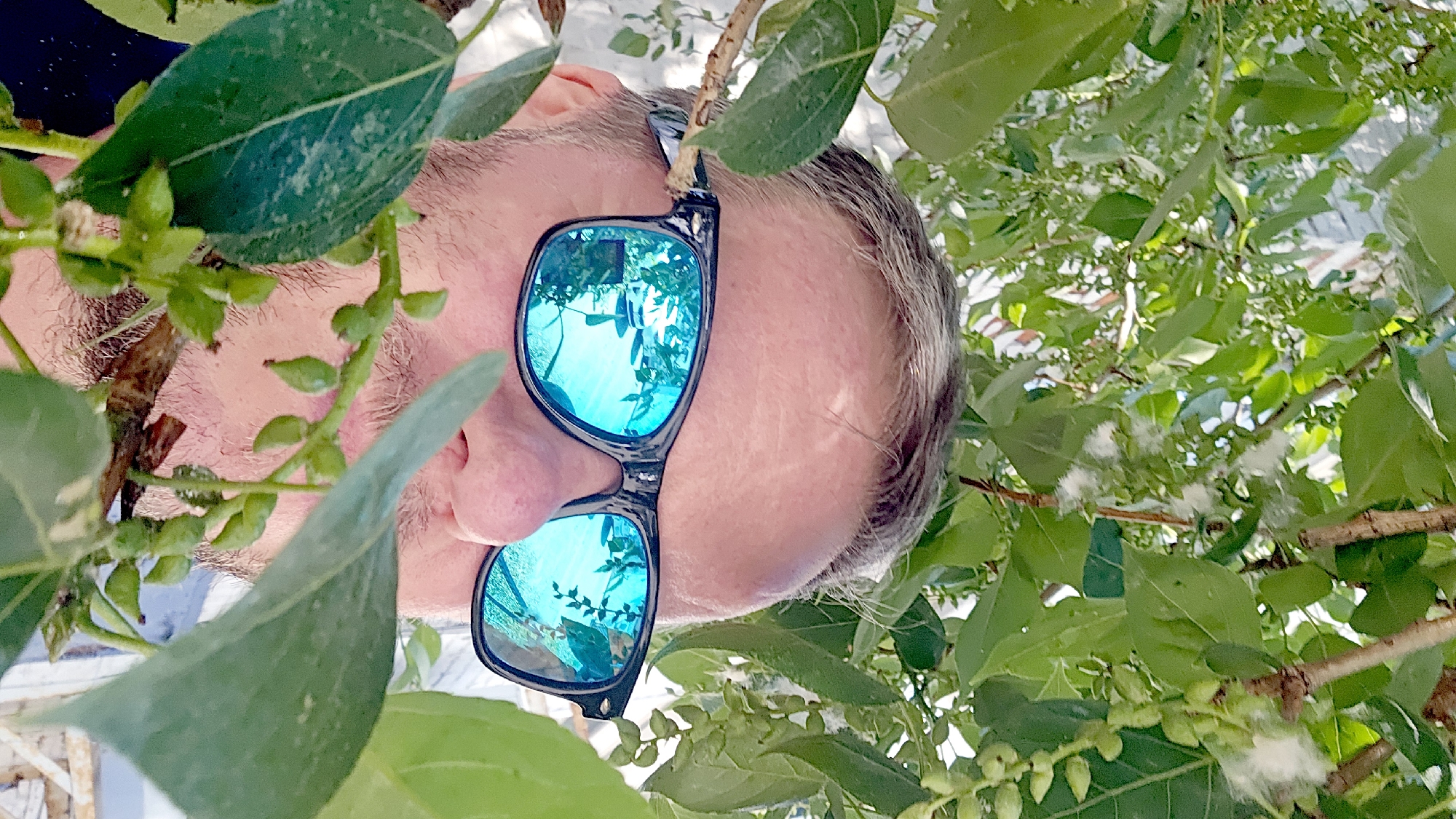 A man is viewed upside down through foliage and branches with small buds, wearing sunglasses reflecting more of the surrounding foliage, possibly in Moscow, Russia given the vegetation types. The man has gray hair and appears to be looking directly at the camera.