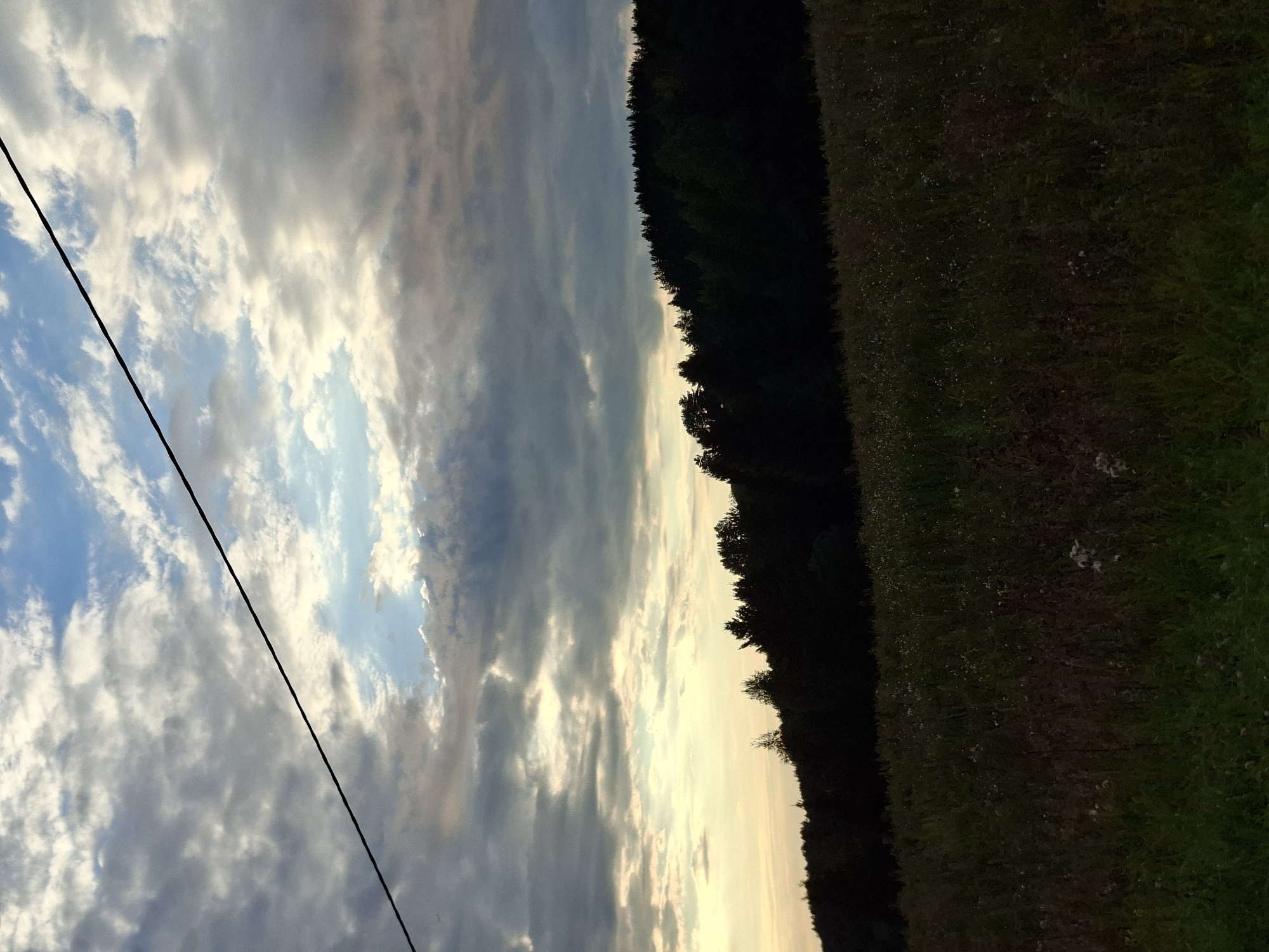 The image shows a rural landscape at dusk, with a dark forest silhouetted against a dramatic sky filled with clouds. A field of tall grass and wildflowers is in the foreground, and a power line stretches diagonally across the upper portion of the frame. The location is the village of Chumna, Russia. The scene is devoid of people or any discernible activity, offering a serene and somewhat melancholic depiction of nature. The lighting suggests either sunrise or sunset, with soft, diffused light filtering through the clouds.