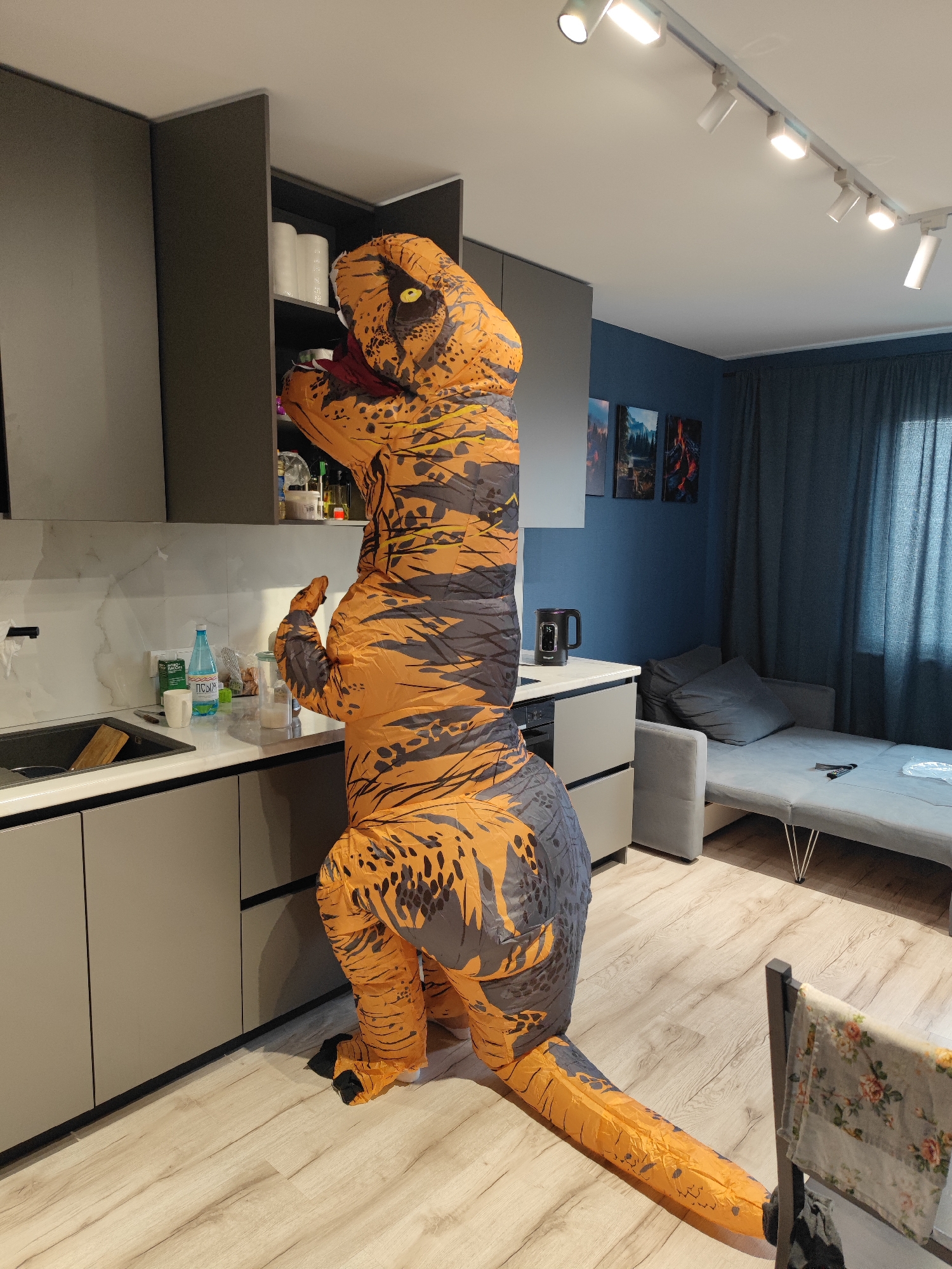 In a domestic kitchen setting, a person is wearing a full-body inflatable Tyrannosaurus Rex costume. The costume is predominantly orange with black tiger-like stripes and grey accents on the lower body and tail. The dinosaur's head, with a yellow eye and red inside the mouth, is positioned near a shelf unit filled with various kitchen items, including bottles of water, jars, and what appears to be toilet paper.
The kitchen features modern grey cabinetry and a light-colored countertop. A sink is visible to the left, with a wooden cutting board inside. A white mug and a bottle of "ПСЫЖ" mineral water are on the counter. In the background, a dark blue wall is adorned with three framed pictures depicting natural landscapes. To the right, a grey sofa bed is partially visible, with a remote control on it. A dark curtain covers a window to the far right. The flooring is light-colored wood laminate. The lighting suggests daytime, with overhead track lighting illuminating the scene. The overall impression is one of a humorous or playful domestic moment.