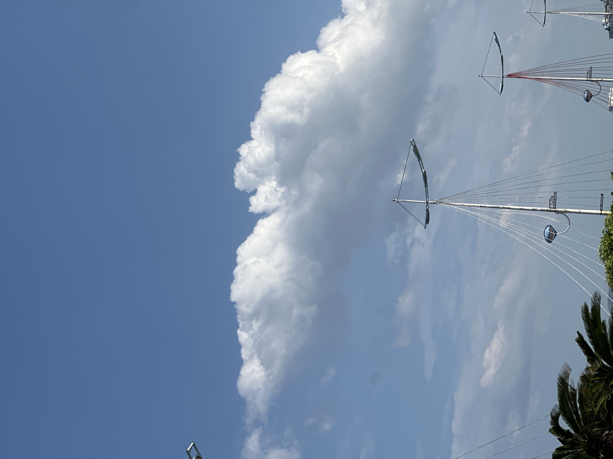 The image displays an outdoor scene dominated by a clear blue sky and prominent white clouds on a bright, sunny day. The sky, ranging from a deep azure to a lighter blue with some scattered, wispy clouds, fills the majority of the frame. A large, well-defined cumuliform cloud mass, brilliant white with sculpted edges, dominates the mid-left portion of the sky, contrasting sharply with the clear background.
In the foreground and towards the right, several tall, slender, white or metallic structures resembling decorative masts or street light poles are visible. These structures feature gracefully arching elements at their upper parts and numerous thin wires or cables extending downwards and outwards, forming an intricate, fan-like pattern. Spherical or dome-shaped light fixtures are attached to some poles, with one appearing blue. One of the structures further in the background has distinct red wires, adding a splash of color to the scene. The bases of these structures are not fully visible, suggesting they are tall and extend beyond the frame.
In the lower right corner, the dark green, serrated fronds of a palm tree are partially visible, indicating a tropical or subtropical setting. The intense sunlight suggests it is midday or early afternoon. There are no people visible, and no discernible text can be read on any of the objects. The scene depicts modern urban or waterfront infrastructure under an expansive sky.