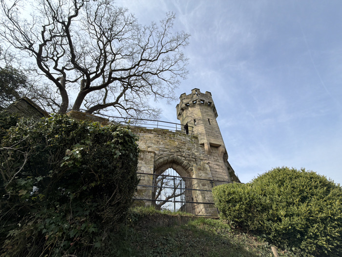 The image displays a section of Warwick Castle in Warwick, United Kingdom, specifically an aged stone tower and an arched gateway. A crenellated stone tower stands prominently on the right, connected to a weathered stone wall which features a large, pointed archway. Black metal railings line the top of the wall and form a gate across the archway. A large, leafless deciduous tree with a dense network of bare branches is positioned above the left section of the wall. The lower foreground consists of an earthen embankment heavily covered with dark green ivy and dense green bushes. The sky above is light blue with faint, wispy white clouds. The scene is static, devoid of human presence, and illuminated by natural daylight.