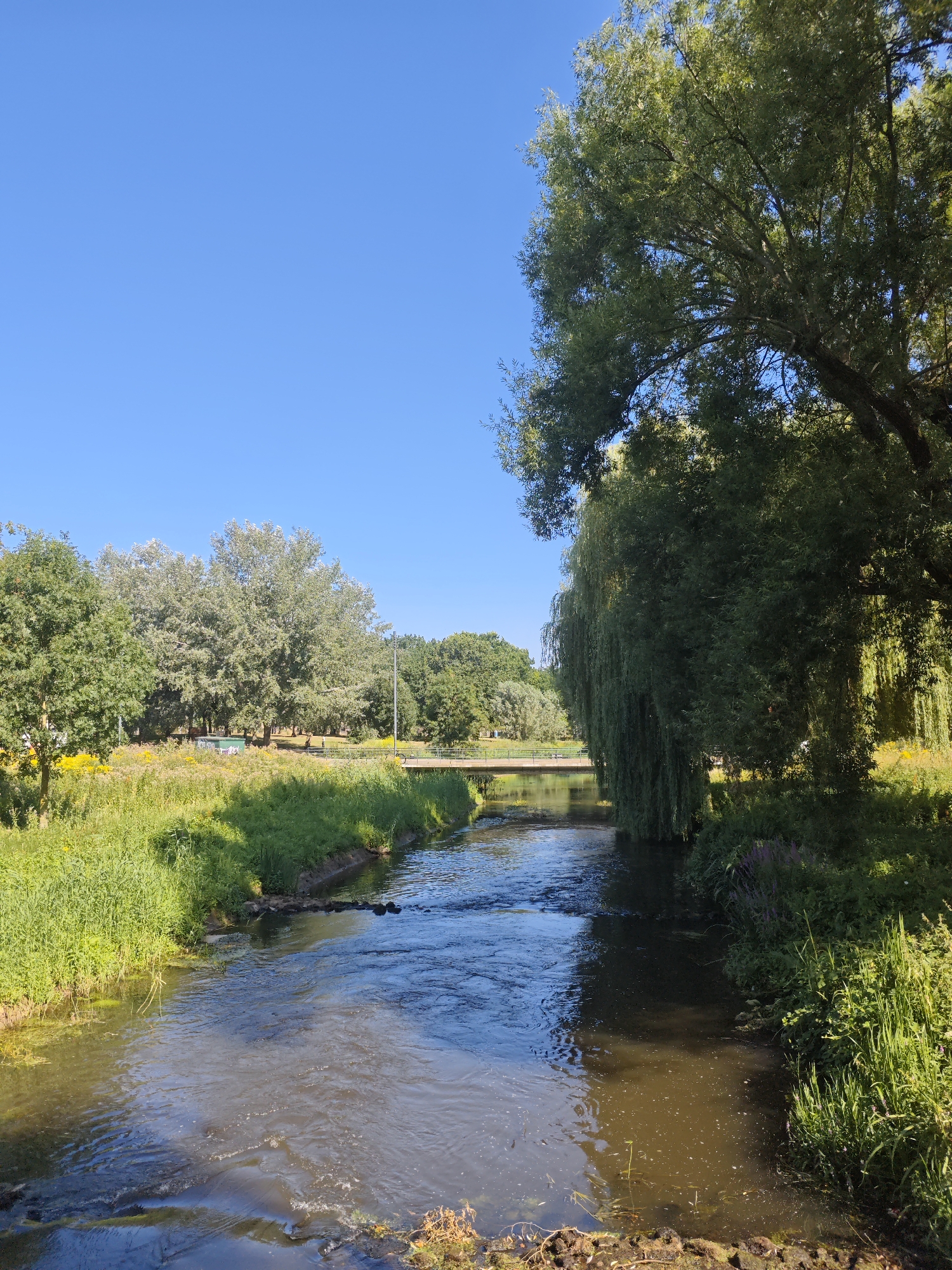 The image depicts a tranquil natural scene with a flowing river on a clear day. Lush green trees and vegetation line the banks of the river, with a prominent weeping willow on the right side of the frame casting shadows. In the background, a bridge spans the river, and beyond it, more trees and a bright blue sky are visible. The water appears murky with ripples and reflections. The scene is likely a park or natural area within the city of Eindhoven, Netherlands, possibly near a wooded area or a body of water like the Dommel river or a canal. There are no people or explicit actions visible in the image. The environment suggests a warm, sunny day.