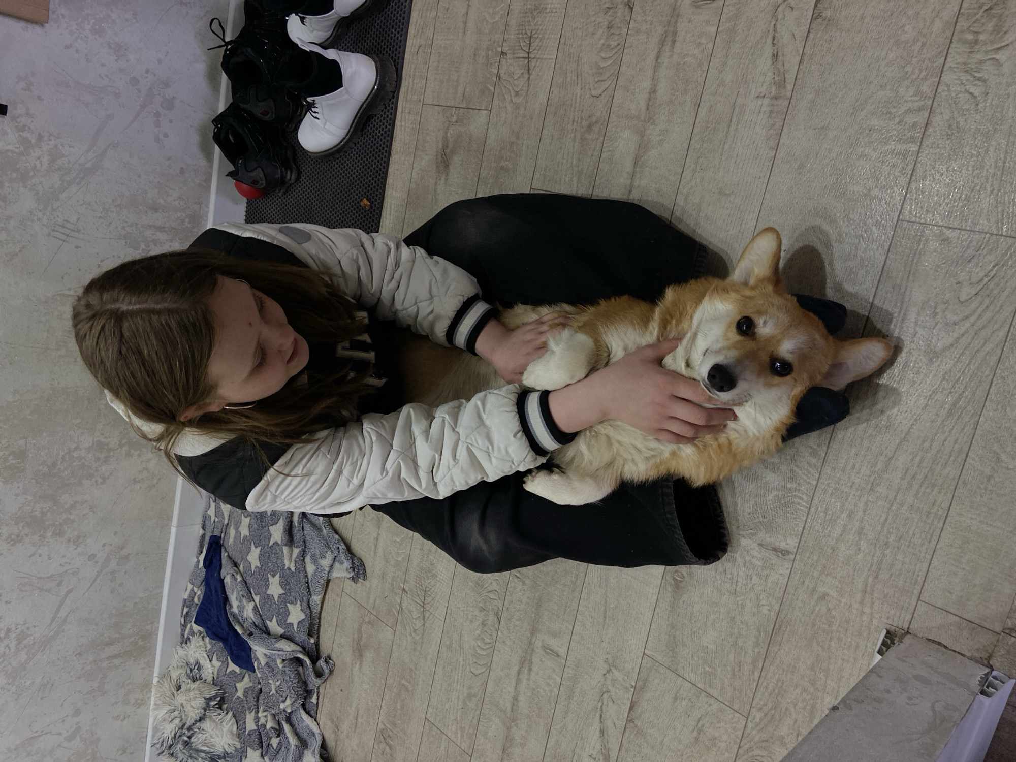 An indoor scene in Chaikovsky, Russia, captures a young person with long brown hair sitting on a light wood-patterned floor, affectionately interacting with a Corgi dog. The person is wearing a light-colored quilted jacket with black and white striped cuffs and dark pants. They are holding and gently petting the Corgi, which lies on its back or side between their legs, looking calmly towards the viewer with dark, wide eyes. The person appears relaxed and focused on the dog.
To the left of the frame, a textured light grey wall is visible. On the floor to the right of the person, a dark rubber mat holds several pairs of shoes, including black boots and white shoes with thick black soles. A small red object is partially visible beneath one of the shoes. Behind the person, a blue and white blanket with a star pattern is casually placed on the floor next to a fluffy white item. The lighting suggests an indoor environment. No text is visible in the image.