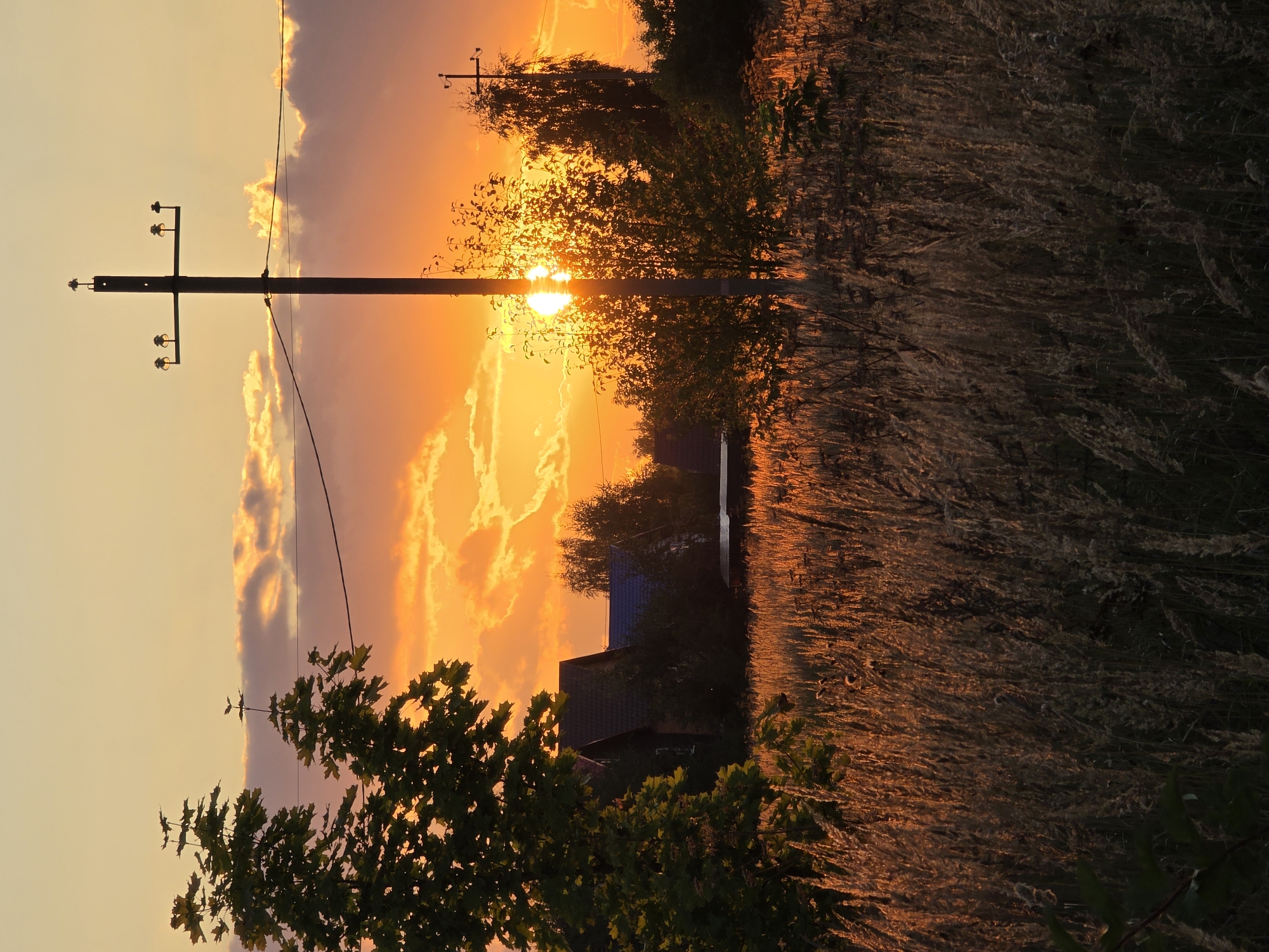 The image depicts a rural sunset scene near Rechitsy, Russia. The sky is ablaze with vibrant orange and yellow hues, with scattered clouds adding texture. In the foreground, tall, dry grass is illuminated by the golden light of the setting sun, creating a warm, textured field. A dark silhouette of trees and buildings, possibly houses, is visible in the mid-ground. A prominent power line pole stands tall in the right half of the image, with wires stretching across the frame. The sun is partially obscured by a tree, casting a bright glow and creating a lens flare effect. The overall atmosphere is serene and evokes the peacefulness of a countryside evening.