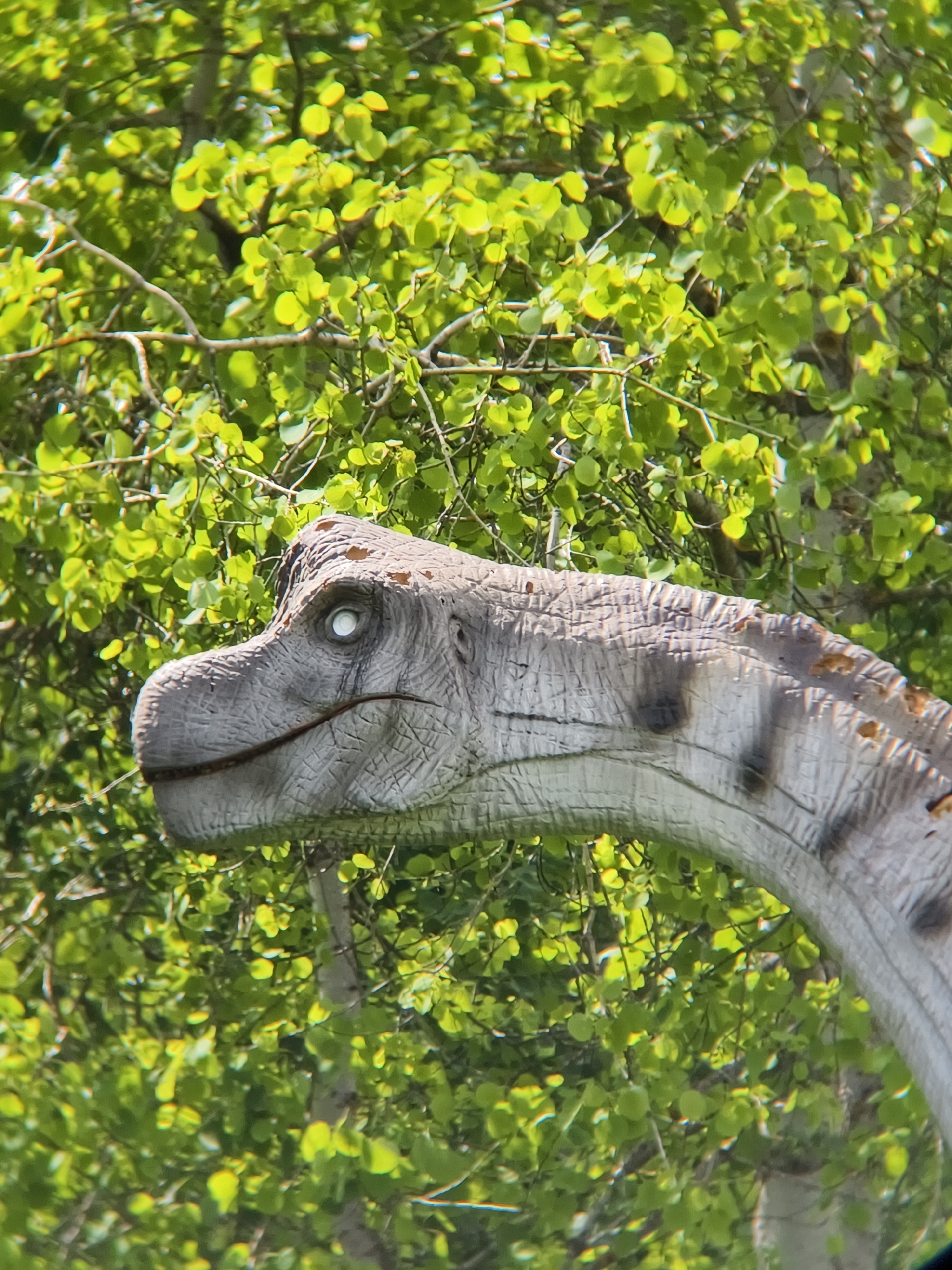 A close-up, side-profile shot captures the head and neck of a dinosaur statue against a backdrop of vibrant green foliage. The dinosaur, likely a model or animatronic, is predominantly grey and white with a highly textured, scaled surface. Darker grey or black markings, resembling stripes or spots, are visible along its neck. Its prominent eye is a solid, luminous white, giving it a stylized and somewhat eerie appearance. A thin, faint line, possibly representing a tongue or mouth detail, extends slightly from its closed jaw. The overall head shape, with its smooth contours and lack of visible sharp teeth, suggests a herbivorous dinosaur such as a sauropod or a large ornithopod.
The background is dominated by lush, bright green leaves and thin branches, indicating dense tree foliage. The leaves are small and round, appearing slightly out of focus, which helps to emphasize the dinosaur in the foreground. The lighting is bright and natural, consistent with daytime conditions, casting highlights on both the dinosaur and the surrounding greenery. There is no visible text. This scene is located in Izhevsk, Russia, suggesting the dinosaur is part of an outdoor exhibit or park.