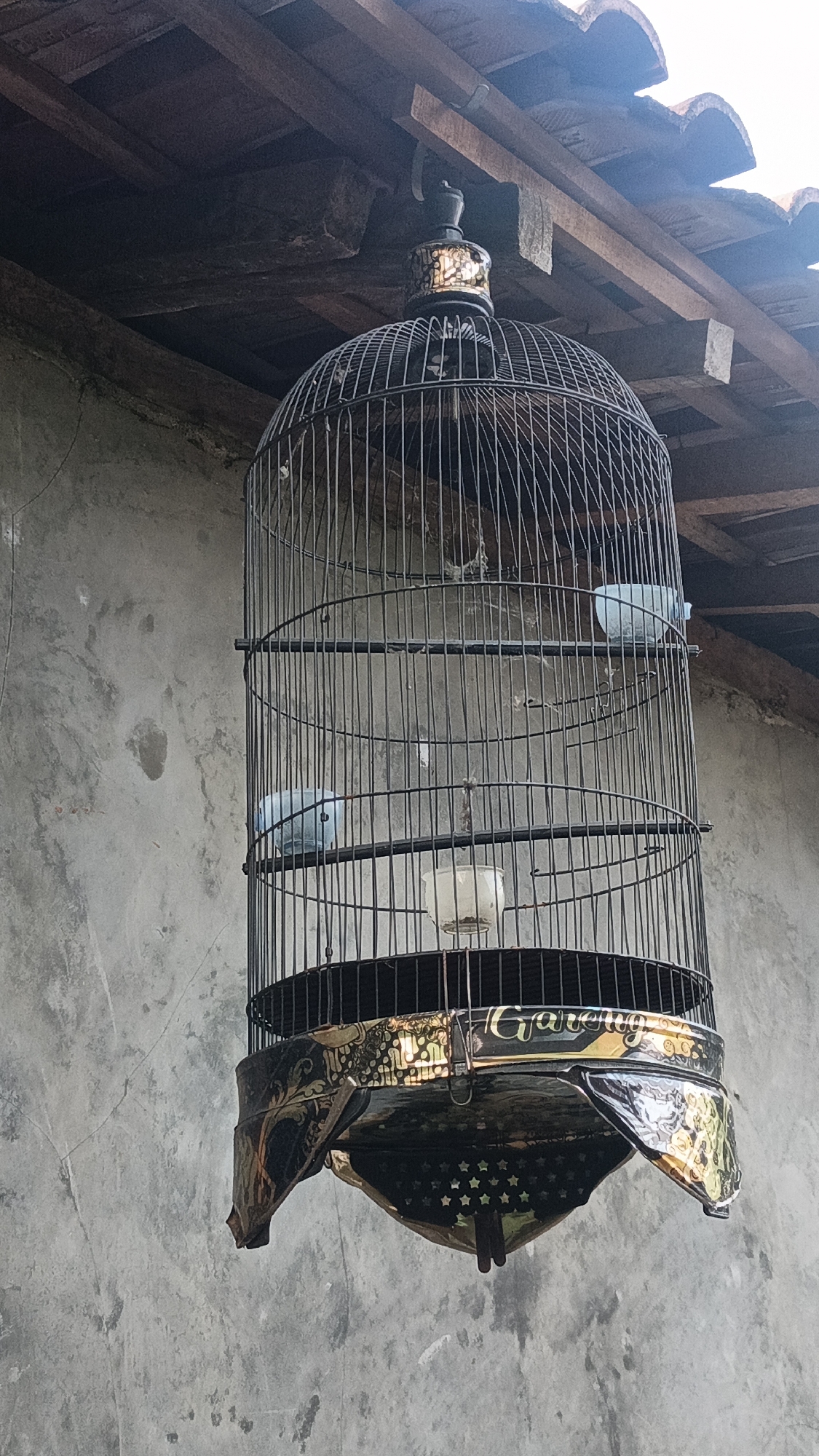 A birdcage hangs from a wooden rafter of a covered outdoor area, likely part of a home in Kandangmas, Indonesia. The cage is made of black metal wire with a decorative, ornate base. Inside the cage, two small, light blue birds are visible, perched on horizontal bars. One bird is on the left side of the cage, and another is on the right. A white food or water dish is positioned below the birds. The background consists of a textured, gray concrete wall, typical of Indonesian architecture. The roof structure above the cage is made of dark wood beams and reddish-brown tiles. The lighting suggests it is daytime, with natural light illuminating the scene.