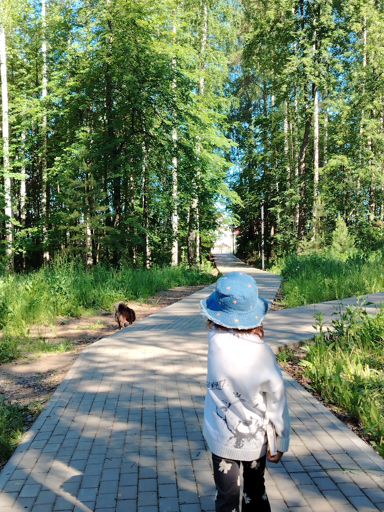 A rear view of a young person wearing a blue patterned bucket hat, a white sweater with a graphic design, and black pants with a bow pattern, walks away from the camera down a paved path. The person is holding a book. To the left of the path, a small brown dog with a fluffy tail walks away from the camera. The path is bordered by lush green grass and trees. The scene is set in a wooded area with tall deciduous and coniferous trees, and the lighting suggests it is daytime. The location is a park or wooded area in Noviy, Russia.