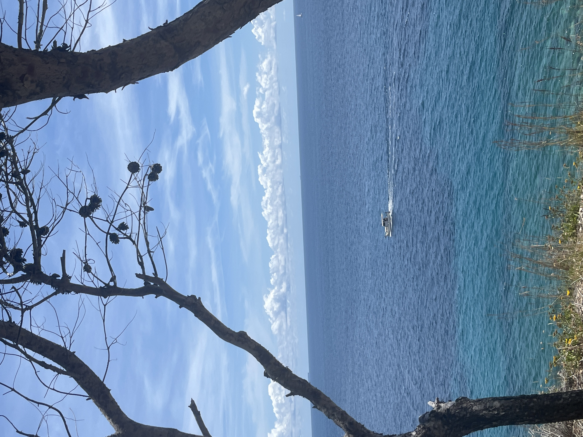 A landscape shot from El Poble Nou de Benitatxell / Benitachell, Spain, features a blue sea under a sky with scattered clouds. A small boat is visible on the water, moving towards the viewer. The foreground is framed by branches of a tree on the left and vegetation on the right.
