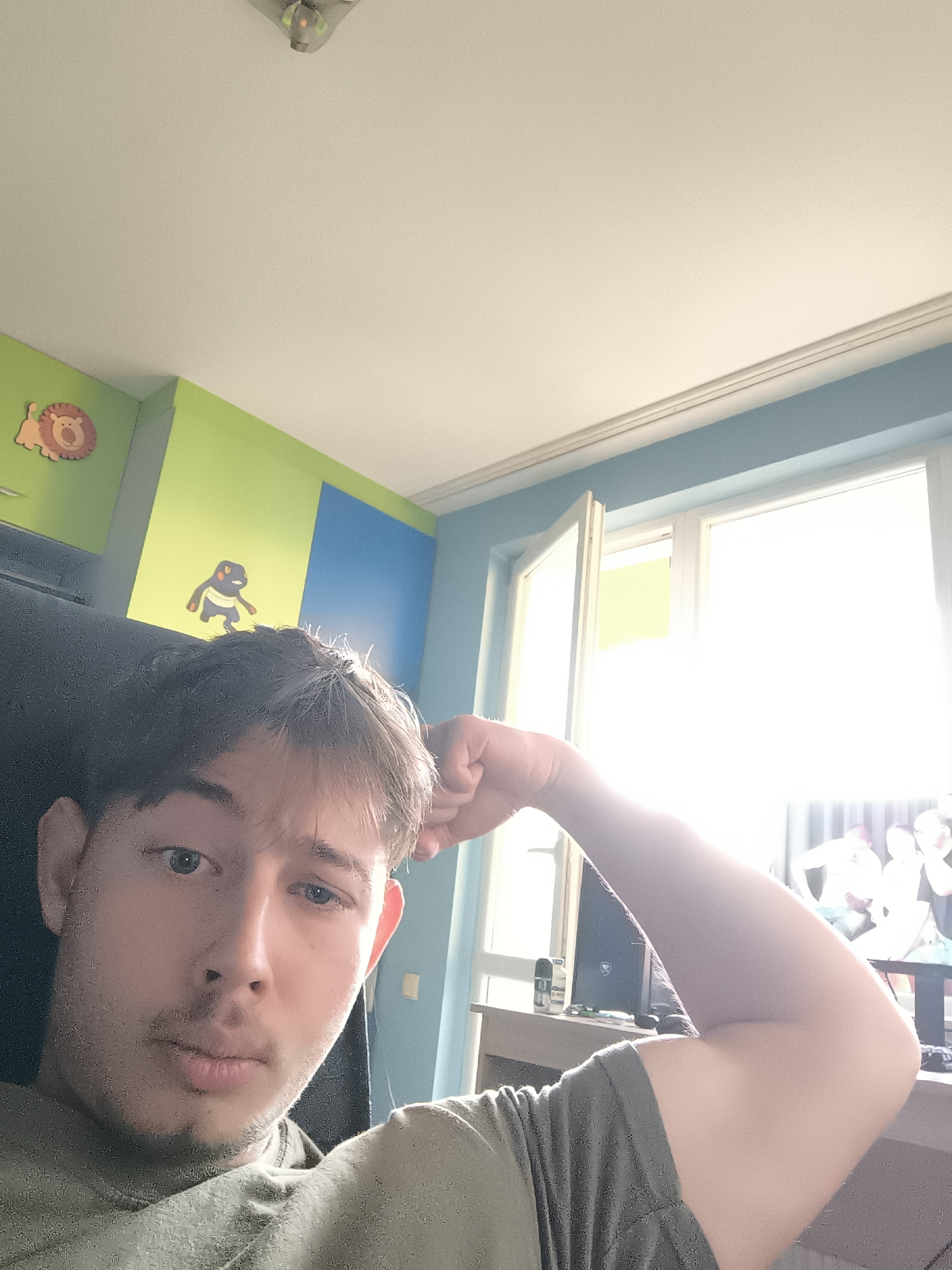 A young man is depicted in a medium close-up selfie, sitting in a dark chair indoors. He has light brown, casually styled hair and faint facial stubble, looking directly at the camera with a neutral expression. He is wearing an olive green t-shirt. His left arm is bent, with his hand resting near his head.
The background shows a room with a distinctive color scheme: sections of vibrant green and blue paint on the walls. The green wall features two decorative wooden cutouts: a lion on the left and a cartoon character, resembling Croagunk or Toxicroak from Pokémon, in the center. The ceiling is white, with a light fixture or smoke detector visible in the upper-left.
To the right, a large, white-framed window allows abundant natural daylight into the room, creating significant brightness and overexposure in that area. One pane of the window is slightly ajar. Below the window, a desk or shelf is visible, holding a few indistinct objects, including what appears to be bottles and a dark electronic device, possibly a laptop or monitor. Beyond the window, some blurry shapes are visible, but not clearly identifiable. The setting appears to be a personal space, likely a bedroom, during the daytime in Sofia, Bulgaria. No visible text is discernible.