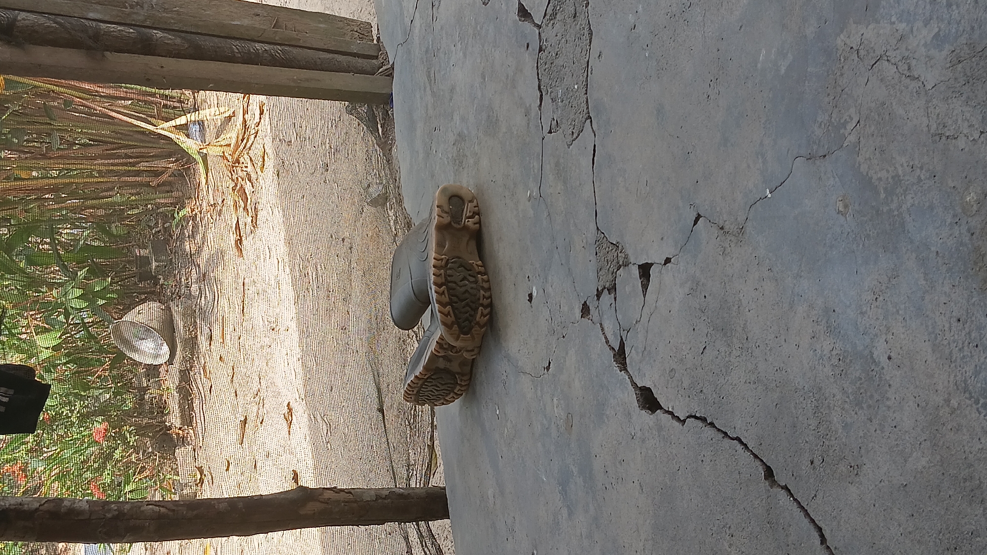 A pair of dark green rubber boots are placed on a cracked concrete surface. The boots are positioned with their soles facing upwards, revealing their treads. The background suggests an outdoor, possibly rural or semi-rural setting. Beyond the concrete area, there is a sandy ground with dry leaves scattered on it. In the distance, there is dense vegetation, including tall stalks and green leaves. A weathered wooden post stands to the right of the frame, and another wooden post is visible on the left. The lighting suggests it is daytime, with sunlight casting shadows. The image is shot from a slightly elevated angle, looking down at the boots. The overall scene depicts a utilitarian and somewhat weathered environment. There is no indication of the specific location within Prabumulih, Indonesia, beyond the general visual cues of the environment.