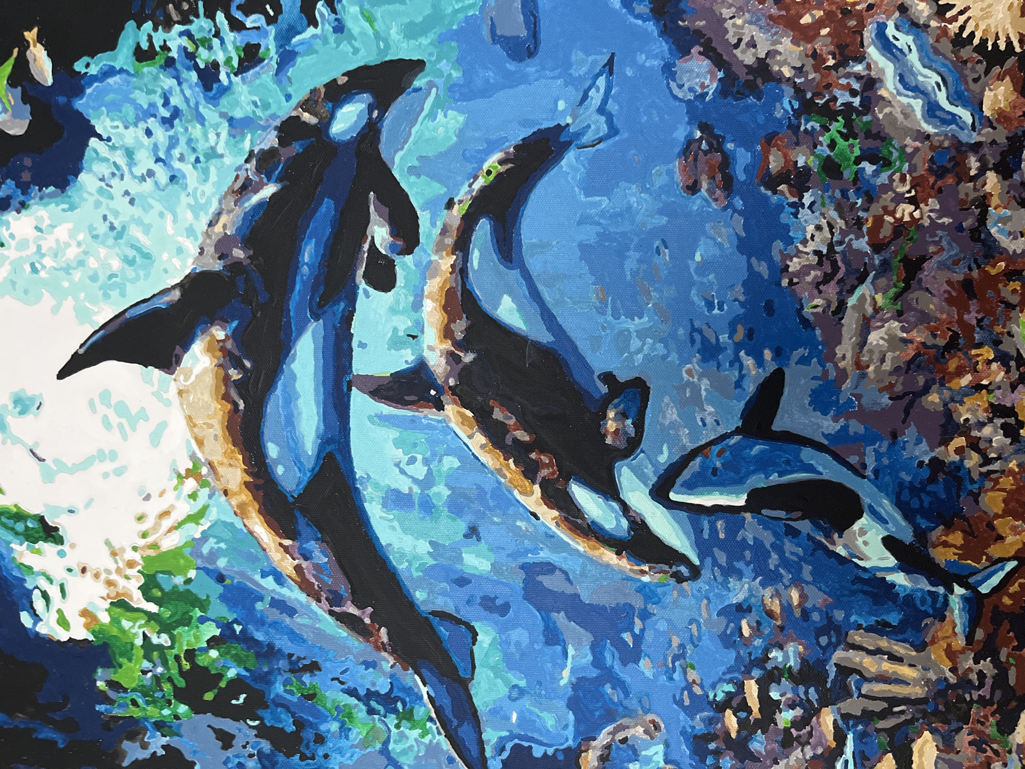 The image depicts a painting of three orcas swimming in a vibrant blue ocean, surrounded by coral reefs and small fish. The orcas are rendered in black, white, and shades of brown and blue, with varying degrees of detail. The water is depicted with a gradient of blues and aquas, suggesting light filtering from above, possibly from the sun. The coral reef at the bottom is a mosaic of earthy tones and purples, with some green aquatic plants visible. The style of the painting is impressionistic, with visible brushstrokes. There is no indication of the city of Vvedenka, Ukraine, in the image or its description.