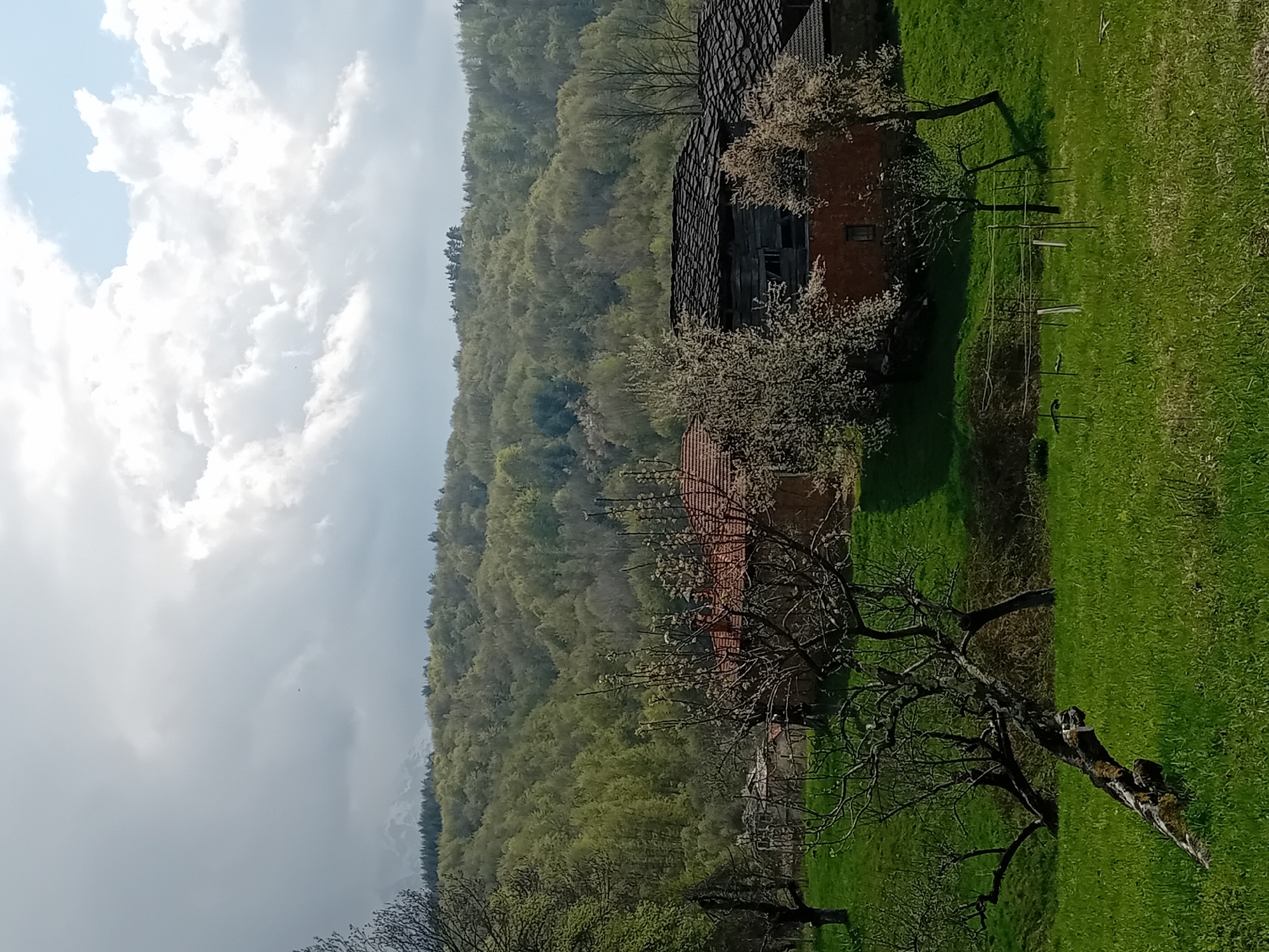 The image shows a rural landscape in an unknown location. A forested hill is prominent in the background, partially obscured by a cloudy sky. In the foreground is a grassy field with trees in various states of bloom and bareness. There are several buildings, including at least one with a dark, possibly wooden, roof and another with a reddish tile roof. A structure resembling a clothesline is also visible. The overall environment suggests a mountainous or hilly area with a mix of natural and man-made elements. There are no people visible in the image.