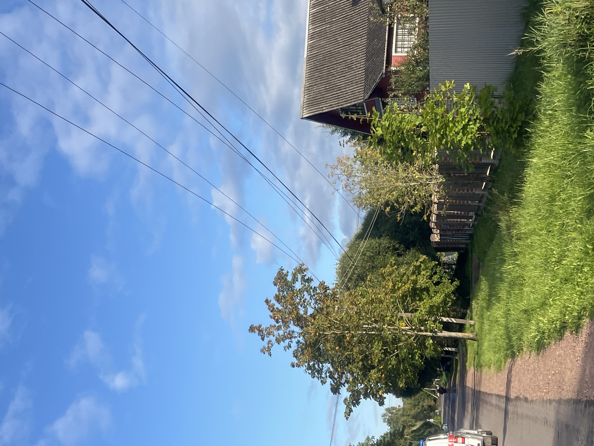 In the city of Otradnoye, Russia, a sunlit scene unfolds along a paved road lined with greenery. The sky above is a vibrant blue, dotted with wispy white clouds. Power lines crisscross the upper portion of the frame.
On the left side of the road, a white vehicle with a blue light on its roof is partially visible, suggesting a police presence. Further down the road, a person stands facing away from the camera, seemingly engaged in sweeping. To the right of the road, a wooden fence borders a property. Beyond the fence, a red house with a grey, corrugated roof stands prominently. In front of the house, a young green tree thrives, surrounded by lush green grass. The overall impression is one of a calm, ordinary day in a suburban or rural setting.