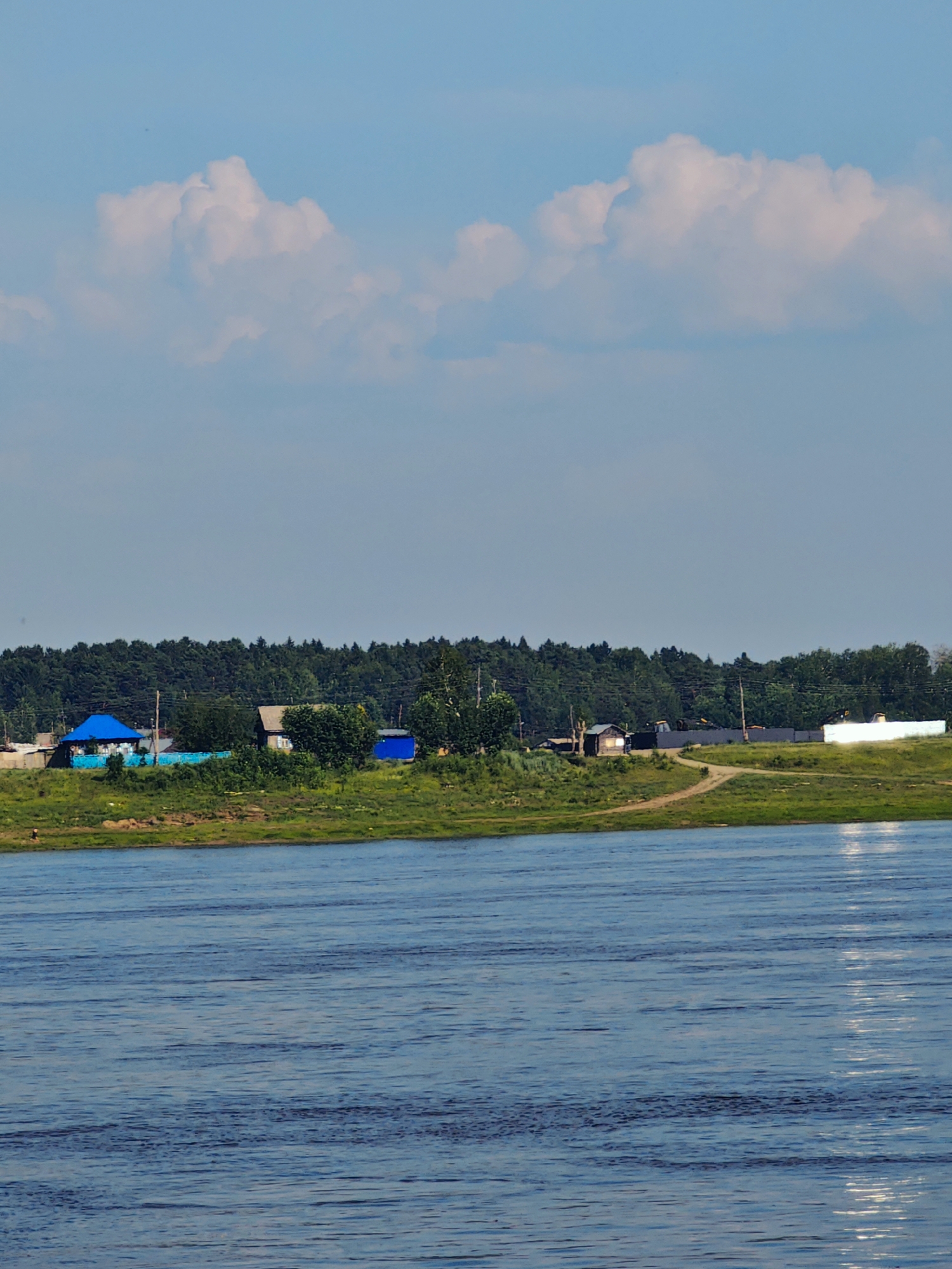 The image shows a wide river in the foreground, with gentle ripples on its surface reflecting the sky. The riverbank is covered in green grass and a dirt path winds along it. In the background, a line of trees forms a dense forest. Scattered along the riverbank are several houses, some with blue roofs. The sky above is a clear blue with a few white, fluffy clouds. The scene appears to be a rural or semi-rural setting. Based on the information, the location is identified as Potapovo, Russia.