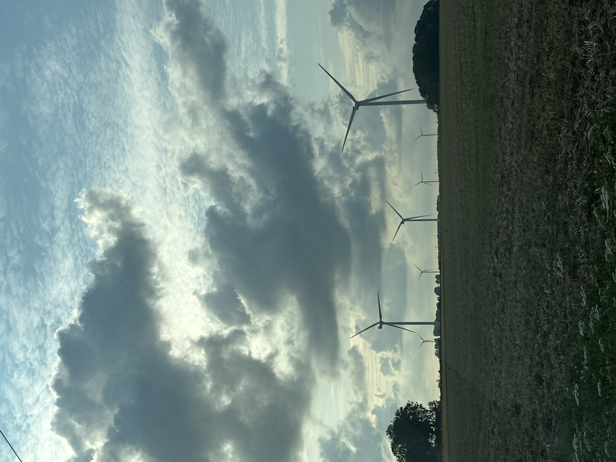 This image depicts a rural landscape with multiple wind turbines silhouetted against a cloudy sky. The foreground is a dark, grassy field, possibly agricultural. In the mid-ground, a line of wind turbines stands on a slightly elevated horizon, interspersed with some trees and what appear to be buildings or structures. A larger cluster of trees is visible on the left side of the frame. The sky is a mix of bright blue patches and heavy, gray clouds, with sunlight breaking through in some areas. The overall impression is of a windswept, open environment. This image was taken in the vicinity of Saint-Maclou-de-Folleville, France.