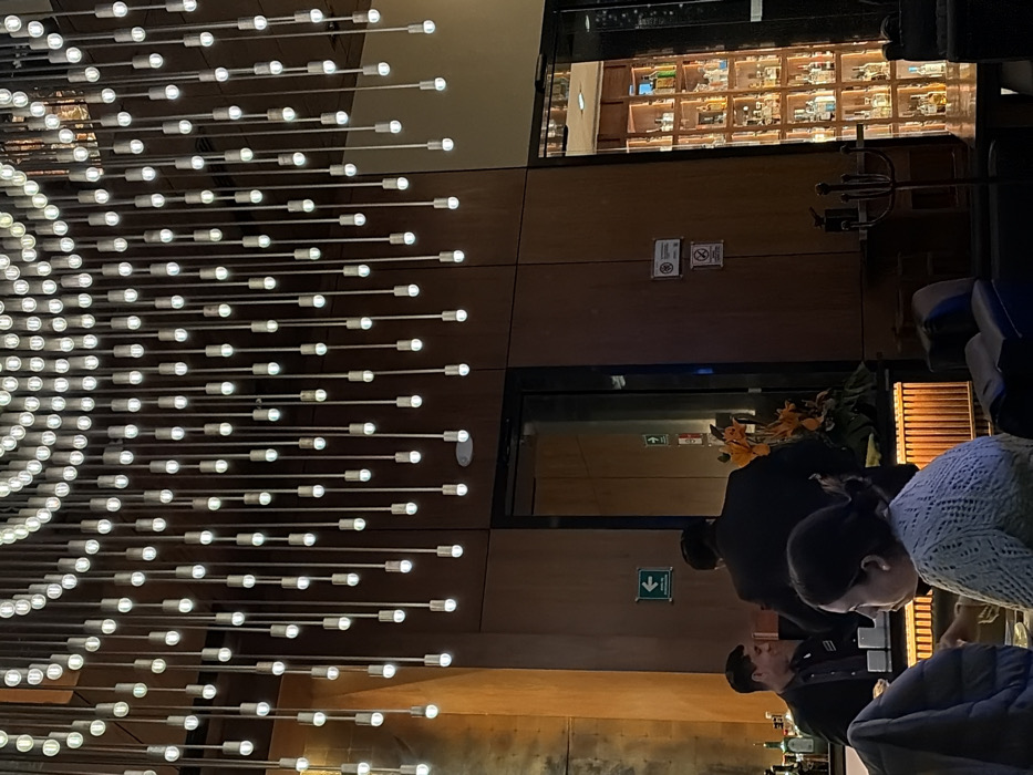 A modern interior with a striking lighting fixture composed of numerous illuminated rods. The space features a glass-enclosed area filled with stacked boxes or items. People are seated, possibly at a bar or restaurant. The decor includes wooden panels and signage.