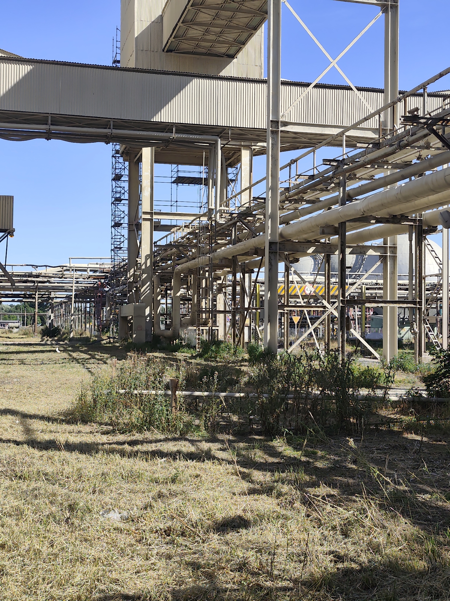 This is a photograph of an industrial facility under a clear blue sky. The foreground is dominated by dry, overgrown grass and some scattered debris. In the midground and background, a complex network of industrial infrastructure is visible. This includes large, elevated structures made of metal beams and corrugated metal sheeting, extensive piping systems of varying sizes and colors, and what appear to be walkways or conveyor belts. Scaffolding is present around some of the vertical supports, suggesting ongoing construction or maintenance. The overall impression is one of an active or recently active industrial site, possibly a chemical plant, refinery, or manufacturing facility. There are no people visible in the frame. The specific location in Police, Poland, cannot be determined from the image alone, as there are no identifying landmarks or signage.