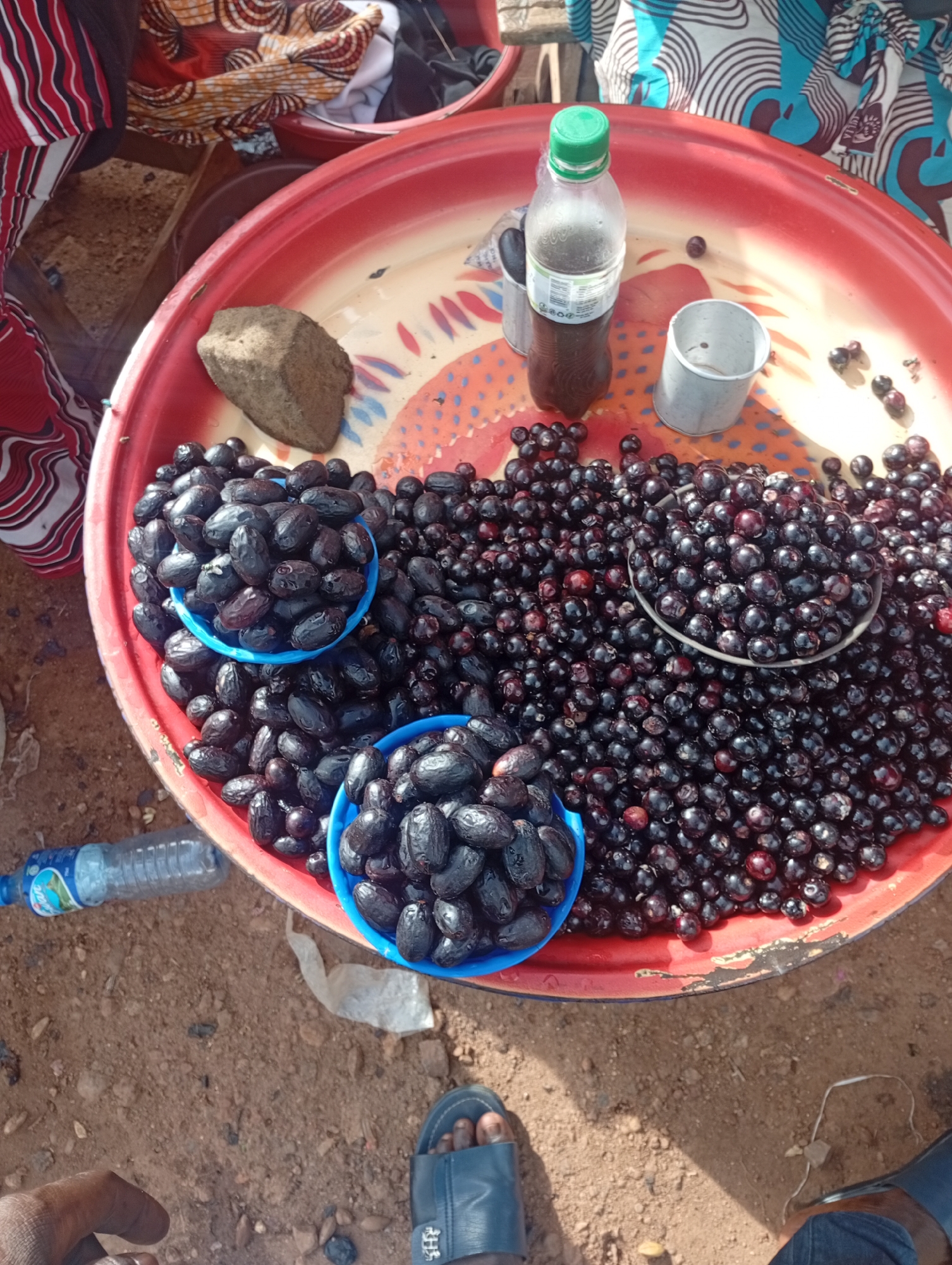 This media file shows a close-up, overhead view of a large, red, round tray filled with dark purple, oval-shaped fruits, likely wild dates or a similar fruit, at an outdoor market stall. The fruits are abundant, spilling out of the tray and into two smaller blue plastic bowls. Some of the fruits are smooth and shiny, while others appear slightly wrinkled. Scattered among the fruits are a few smaller, rounder dark berries.
On the tray, to the left of the fruits, is a rough, grey stone. To the right of the stone and behind some of the fruit, there is a clear plastic bottle with a green cap, filled with a dark liquid. Next to the bottle is a small, silver cup or container with a handle.
The background reveals a busy market scene. To the top and left of the tray, colorful fabrics with bold patterns are visible, suggesting people in traditional attire. The ground beneath the tray appears to be a dusty, reddish-brown soil, typical of outdoor market settings in arid or semi-arid regions.
In the lower portion of the image, a person's feet are visible, wearing dark blue sandals. This indicates that the image was taken from a person's perspective, standing in the market. A partially visible blue plastic water bottle with a white label is also on the ground to the left of the tray.
The lighting suggests it is daytime, likely with bright sunlight casting some shadows, though the exact time of day is not clear. The overall impression is of a vibrant, local marketplace in Rafin Par, Nigeria, where fresh produce is being sold. The focus is on the fruit and the presentation for sale. There is no visible text on the fruit or the stone, but the label on the water bottle and potentially on the drink bottle are too blurry to read.