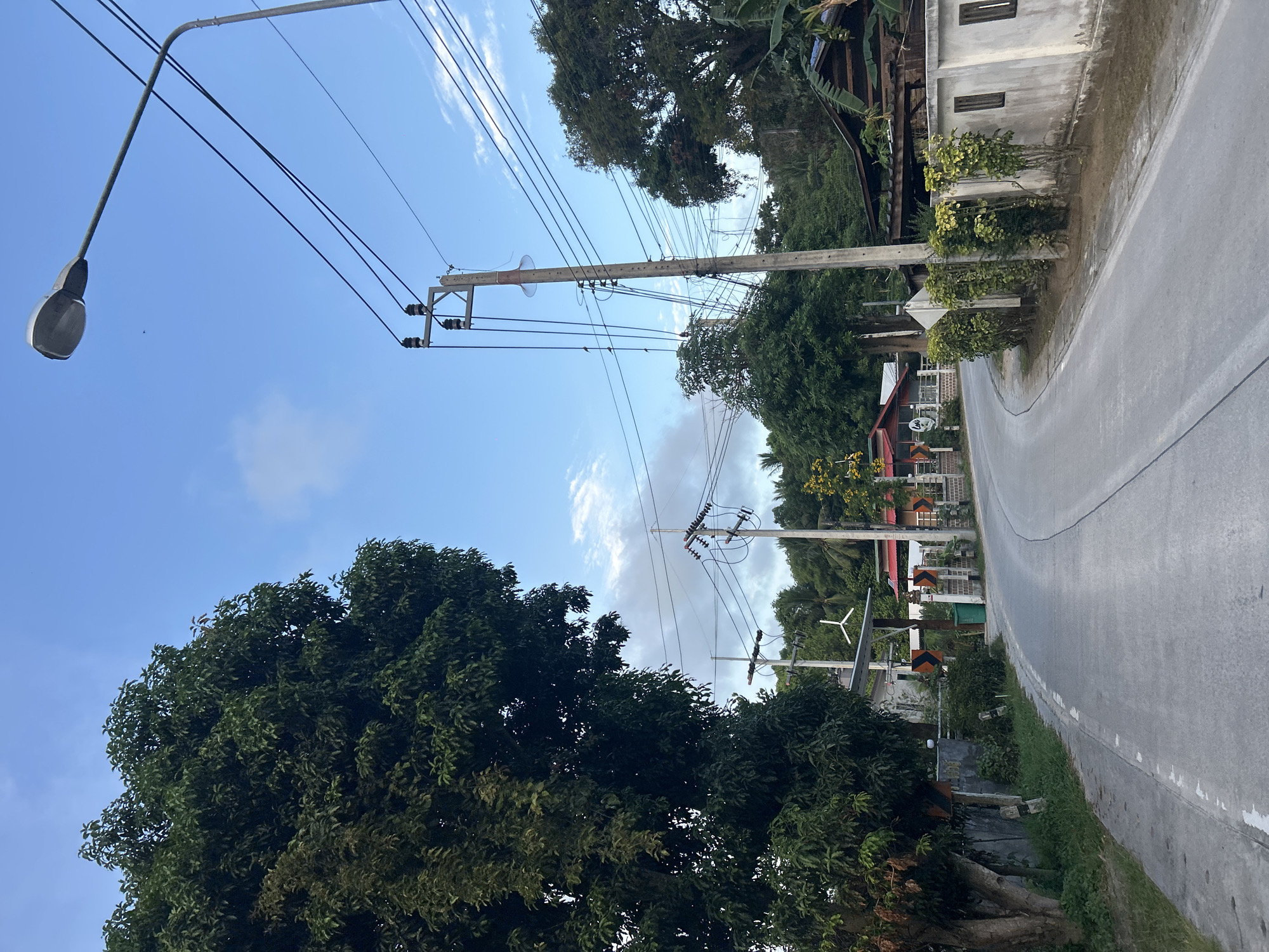 The image depicts a winding paved road in a tropical, semi-rural setting, likely in the Ko Pha-ngan District of Thailand. On the left, a large, leafy tree dominates the foreground, with a concrete wall and sparse vegetation lining the roadside. On the right, the road is bordered by a concrete wall adorned with manicured bushes. Further back, several houses with red roofs and wooden structures are visible, nestled among lush green foliage and trees. Utility poles with power lines crisscross the sky, and a street lamp is visible at the top of the frame. The sky is a bright blue with scattered clouds. There are no people or animals visible in the image. The scene appears quiet and peaceful, suggesting a residential area on the outskirts of a town or village.