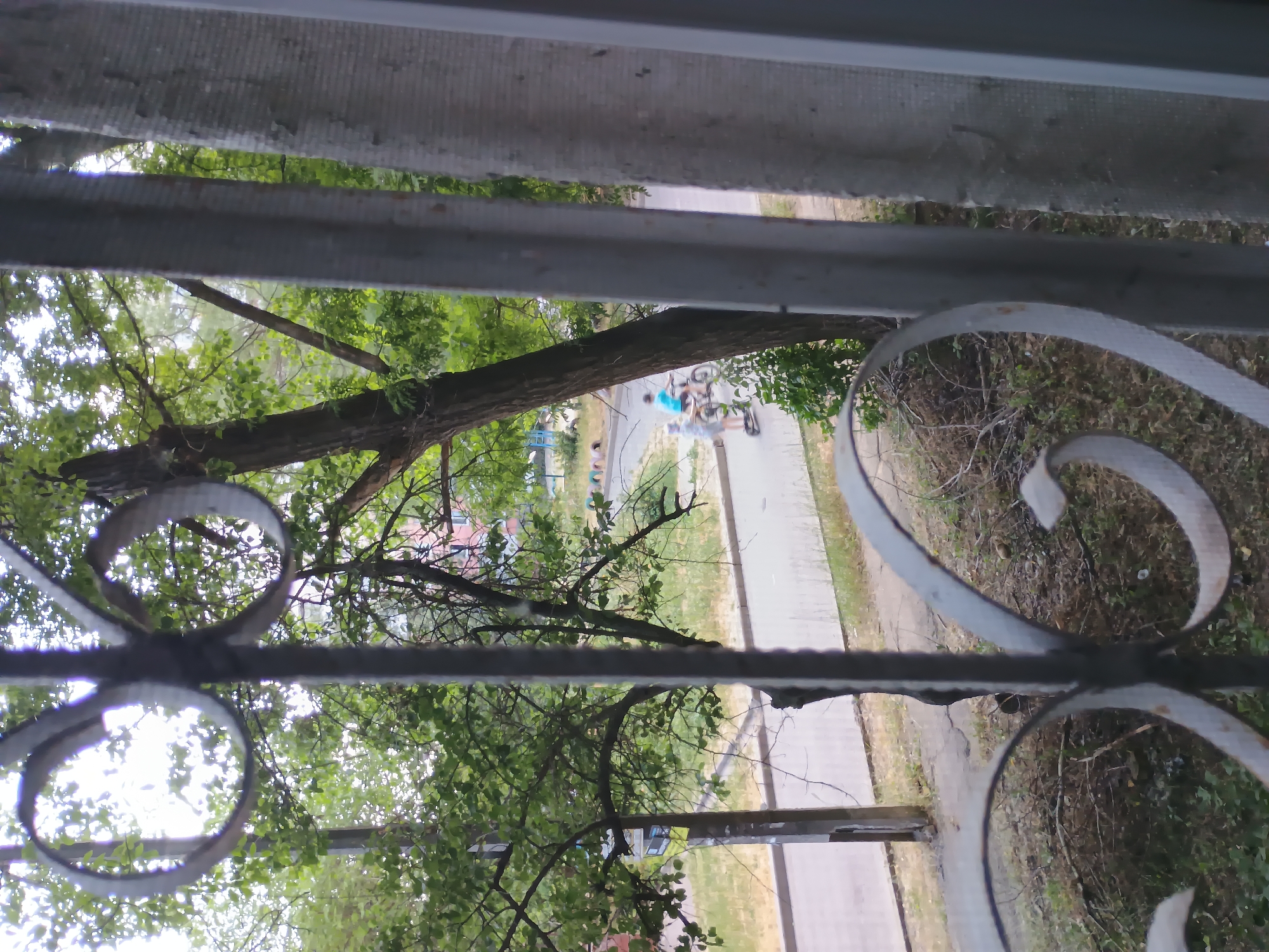 The image shows an outdoor scene through a metal fence, likely from a window or balcony, offering a view of a street and trees. In the foreground, the ornate metal bars of the fence are visible, with decorative scrollwork. Beyond the fence, a paved street runs horizontally across the middle ground, bordered by grass and dirt.
Two individuals are present on the street. One person, wearing a blue shirt and dark shorts, is riding a bicycle. They appear to be an adult. Next to them, a second person, dressed in a light-colored outfit, is riding an electric scooter. This individual's age and gender are less clear due to the distance and focus. Both individuals are moving away from the viewer.
The background consists of lush green trees with dense foliage, suggesting a warm season. A portion of a building with a pinkish facade is visible behind the trees on the right side of the image. Several colorful tire-like objects, possibly part of a playground, are also present in the distant background on the left.
The overall environment appears to be a residential or urban area with ample greenery. The lighting suggests it is daytime. The image quality is moderately low, with some blurriness and pixelation, particularly on the moving subjects. The presence of a metal fence in the foreground implies a restricted viewpoint, possibly from inside a dwelling or secured area. The provided context indicates the location is Zaporizhzhia, Ukraine.