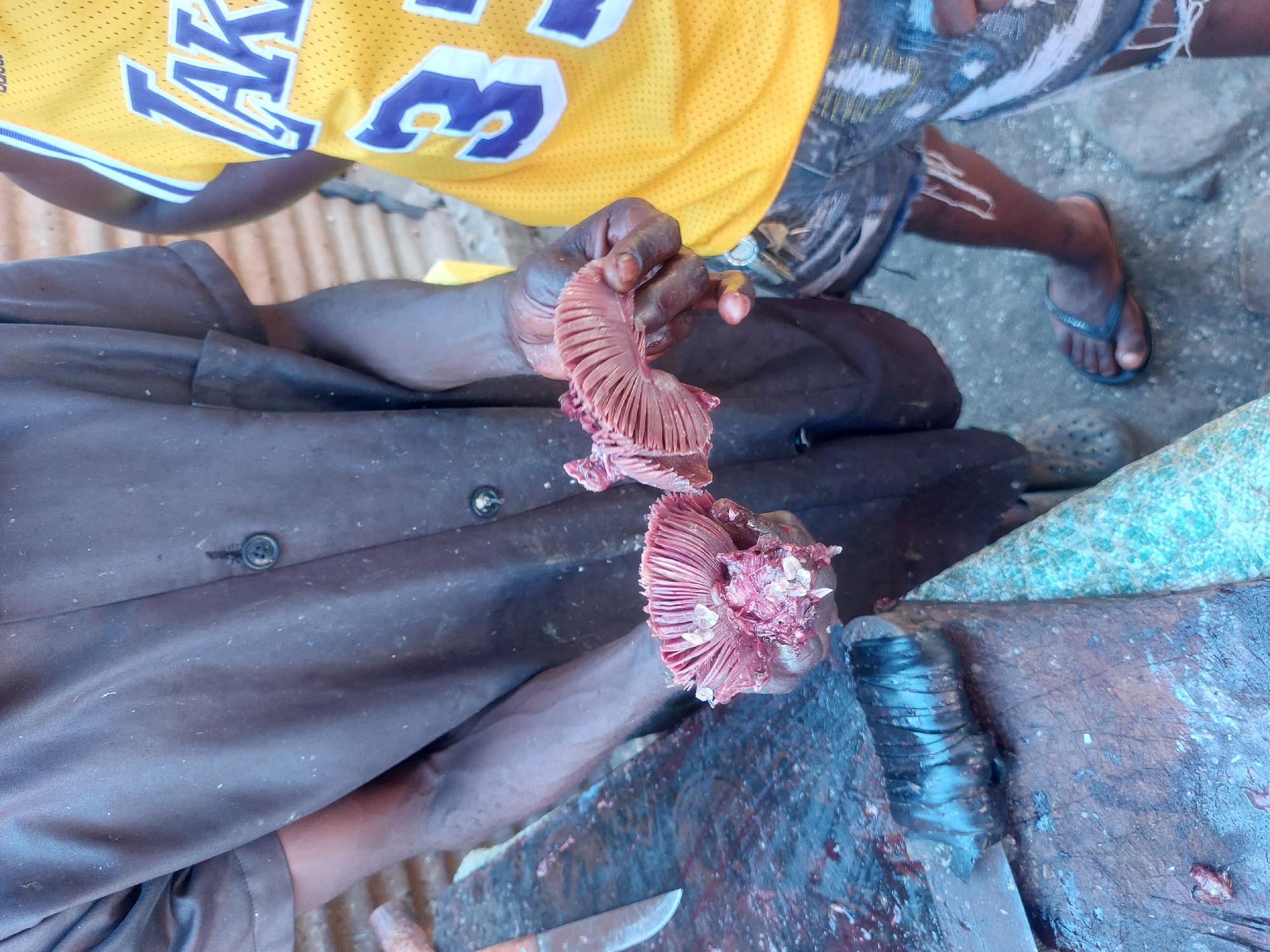 In Dar es-Salaam, Tanzania, an overhead shot reveals a man wearing a Lakers jersey and patterned shorts, holding what appears to be sliced meat. The scene is set upon a stained, possibly wooden surface with a knife lying nearby. The man’s dark-skinned hands and the surrounding elements suggest a working or food preparation context. A portion of his leg and a foot clad in a sandal are also visible. The ground around the surface appears to be dirt.
