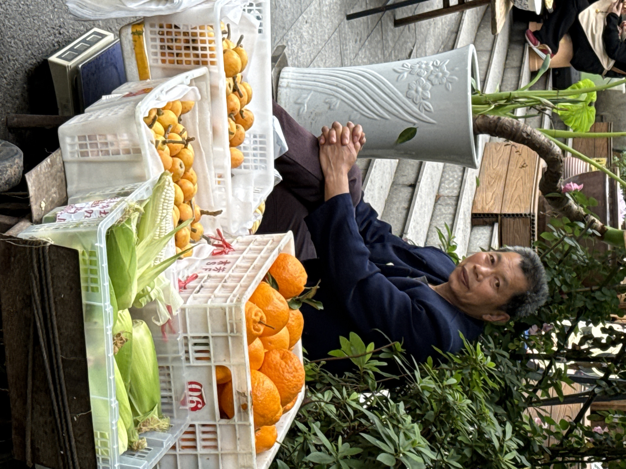 The image depicts a vibrant street vendor scene, likely in an urban setting within China's Yuzhong District. An older individual, possibly a man, with short, graying hair, is the central figure. He is dressed in a dark blue jacket and dark trousers, seated with his hands clasped, looking towards the viewer with a neutral, calm expression.
He is positioned beside a makeshift stall comprising several white plastic crates filled with fresh produce. One crate prominently displays numerous clusters of small, yellow-orange fruits, identifiable as loquats, still attached to their stems. Another crate holds several ears of corn, their green husks partially visible. Further down, a crate is overflowing with bright orange citrus fruits, likely tangerines or oranges, one of which bears a red label with the number "90" printed on it. A digital scale with a white top and blue base is partially visible behind the crates, suggesting active sales. Some Chinese characters, possibly "本季" (this season), are faintly discernible on one crate.
In the background, a person's legs and red-shoed feet are visible, indicating someone else is seated on the stone steps that form the backdrop of the scene. A large, decorative white ceramic planter, adorned with embossed floral patterns and wavy lines, holds a plant with a thick, gnarled trunk and broad green leaves. Additional lush green foliage frames the lower part of the scene, adding natural elements to the urban environment. The natural lighting suggests it is daytime, capturing a quiet moment at a local market stall.