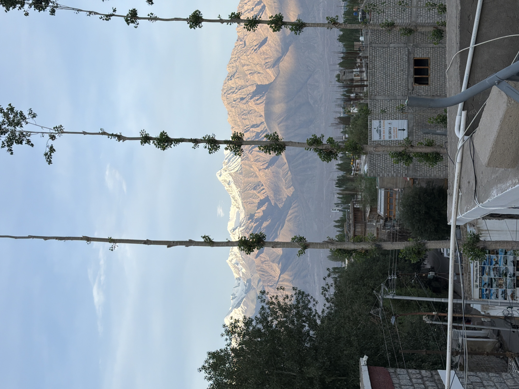 The image shows a view of the city of Leh, India, with the Himalayan mountains in the background. In the foreground, there are three tall, thin trees with sparse green leaves. A brick building with a sign that reads "SUMMER HOUSE" is visible behind the trees. The mountains in the background are snow-capped and bathed in the warm light of the setting sun. The sky is clear and blue with a few wispy clouds. The overall scene suggests a peaceful and serene atmosphere.