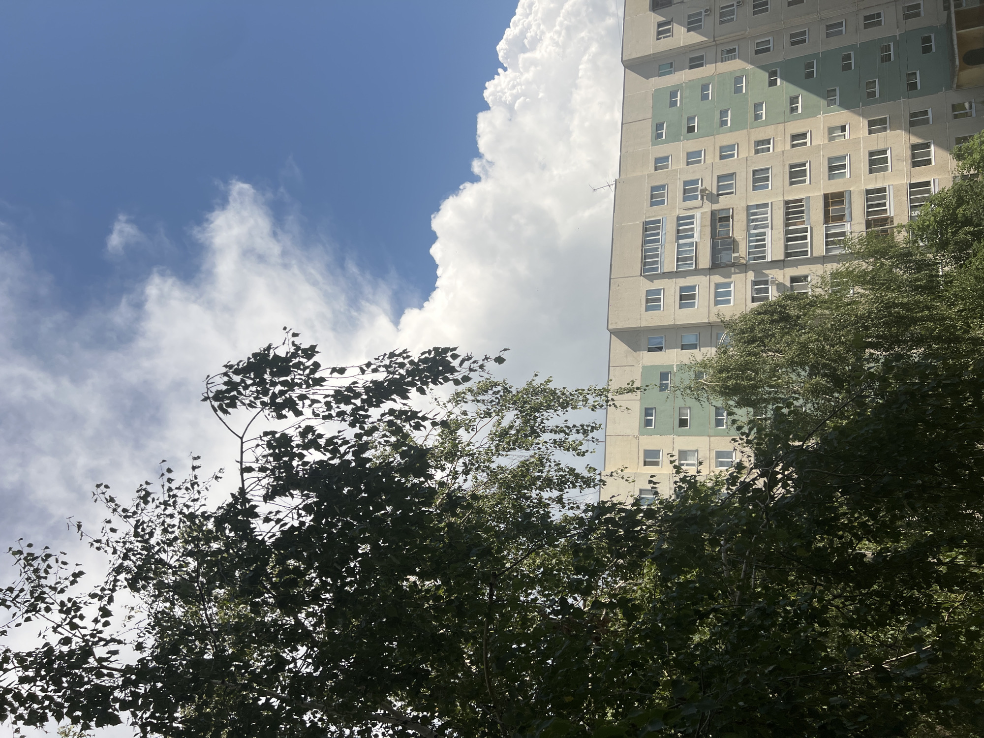 A tall, multi-story apartment building with a light beige and light green facade is visible from a low angle, partially obscured by the leaves and branches of trees in the foreground. The building has numerous windows, some with balconies. The sky above is a bright blue, with fluffy white clouds, and the sun is shining. The scene is outdoors, likely in a residential area of Ulyanovsk, Russia, given the architectural style of the building.