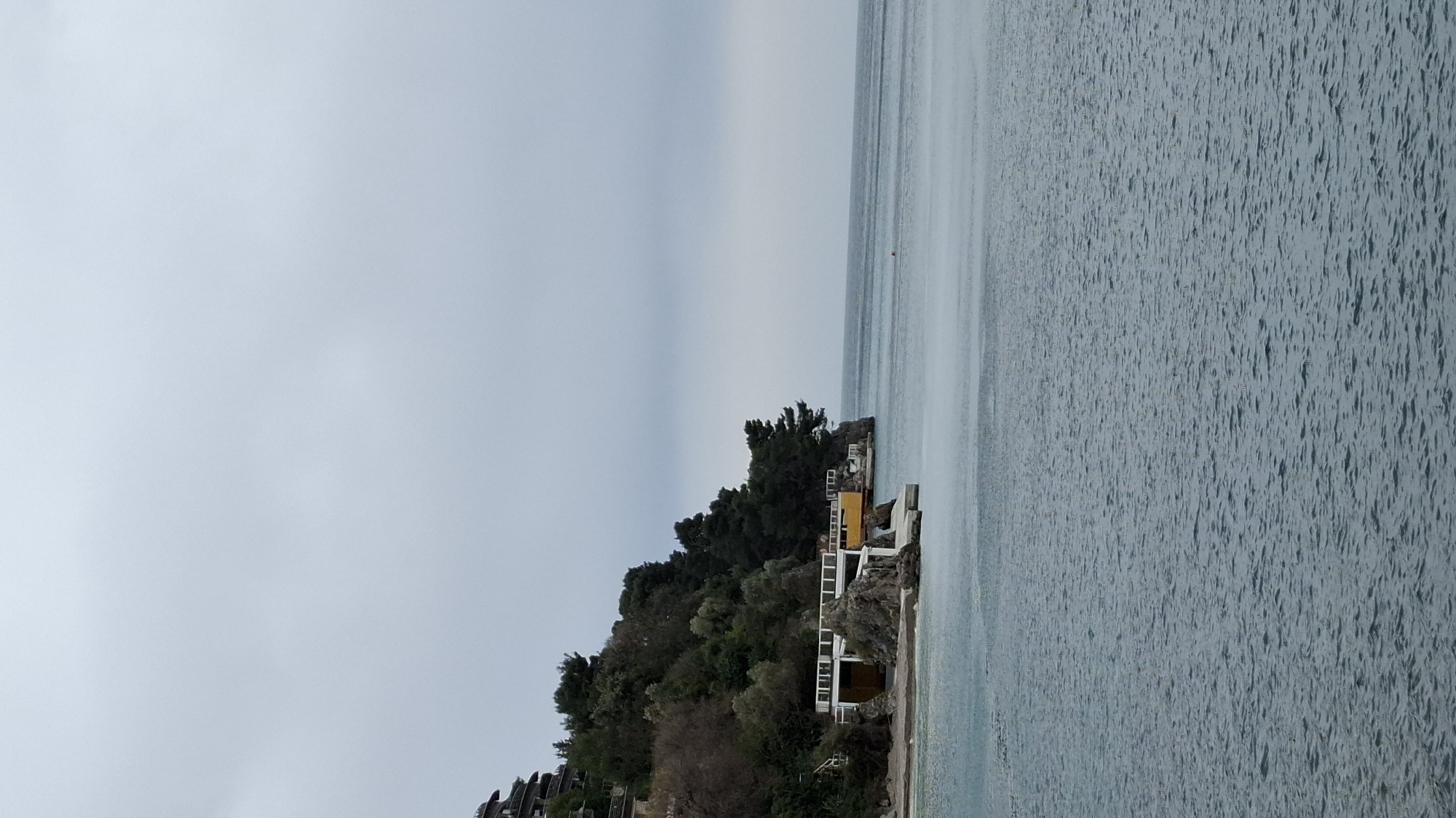 The image depicts a shoreline in Budva, Montenegro, taken on an overcast day. In the foreground is a cliff covered in trees and vegetation. On the cliff, there are several houses with white walls and balconies, and a yellow structure is visible. The calm water is light blue-grey, and the sky is covered by clouds.