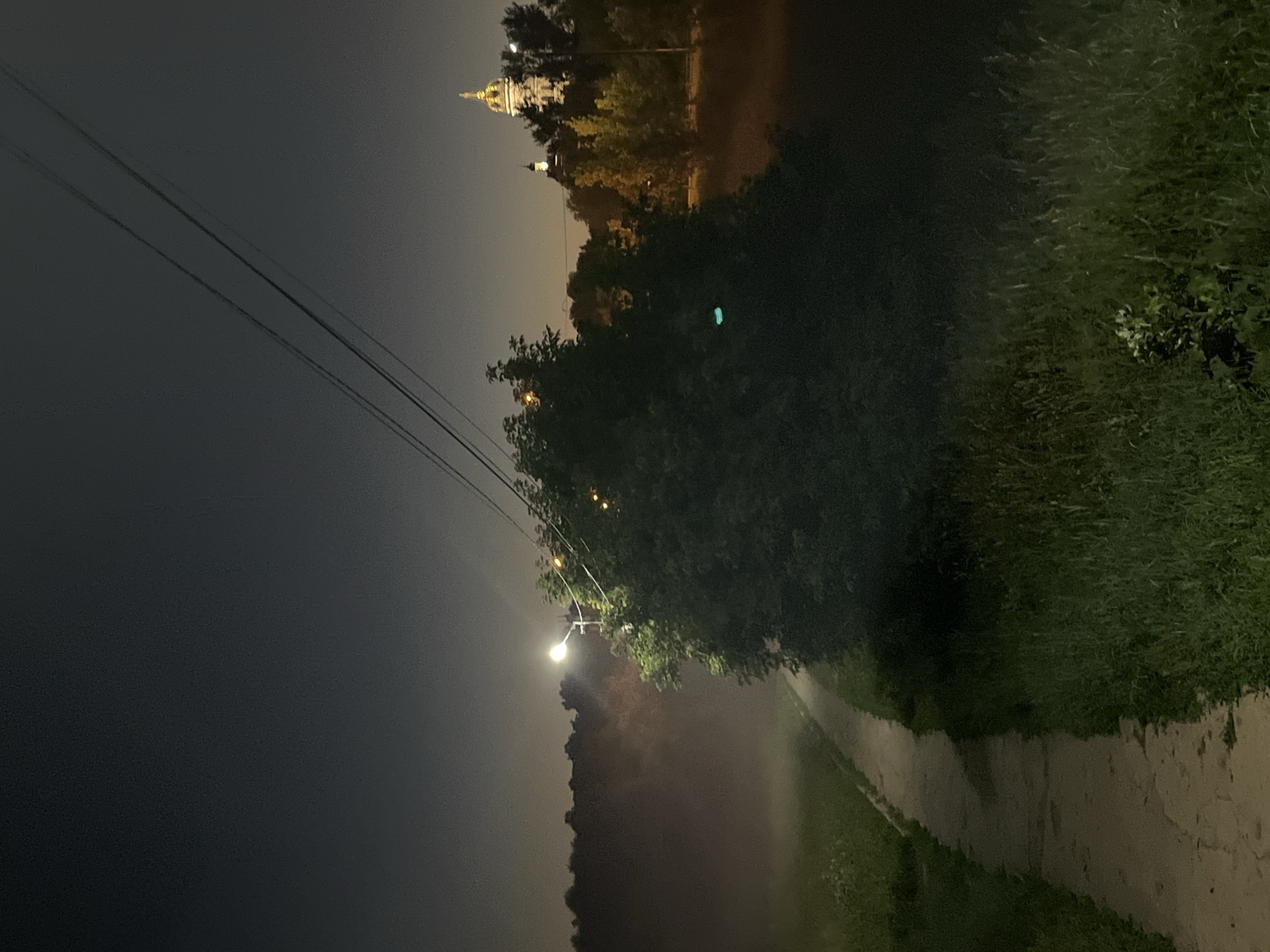 The image depicts an outdoor scene at night in an unknown location. In the foreground, a concrete path curves through tall grass. To the right of the path is a dense tree. A streetlamp with a single light bulb illuminates the area near the tree and the path. In the background, a line of trees forms a dark silhouette against the night sky. Further in the distance, a building with a golden dome is visible, suggesting a religious or historical structure. Overhead, power lines stretch diagonally across the frame. The atmosphere appears hazy or misty in the mid-ground.