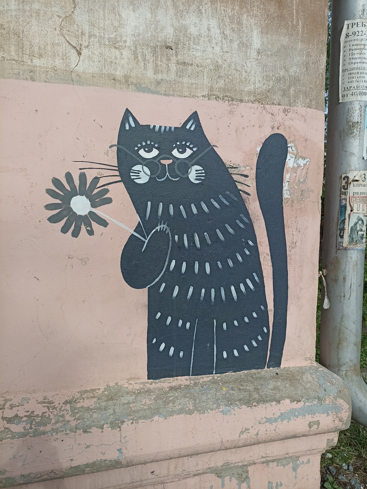 The image shows a whimsical, stylized painting of a black cat holding a flower, likely a daisy, on a faded, weathered wall. The painting is executed in a simple, almost folk-art style, with white markings adorning the cat's body and face. The wall is painted a light pink color, with visible cracks and signs of age and peeling paint, particularly near the bottom. Adjacent to the painting, on the right side of the image, there is a metal pole covered in posters and advertisements. The OCR text suggests it is a local advertisement for jobs (welder, handyman, loader, cleaner, security guard) that pay from 40,000 rubles. The background includes a glimpse of greenery. Given the OCR information, the location is most likely Votkinsk, Russia. The painting is public art on a street in Votkinsk.
