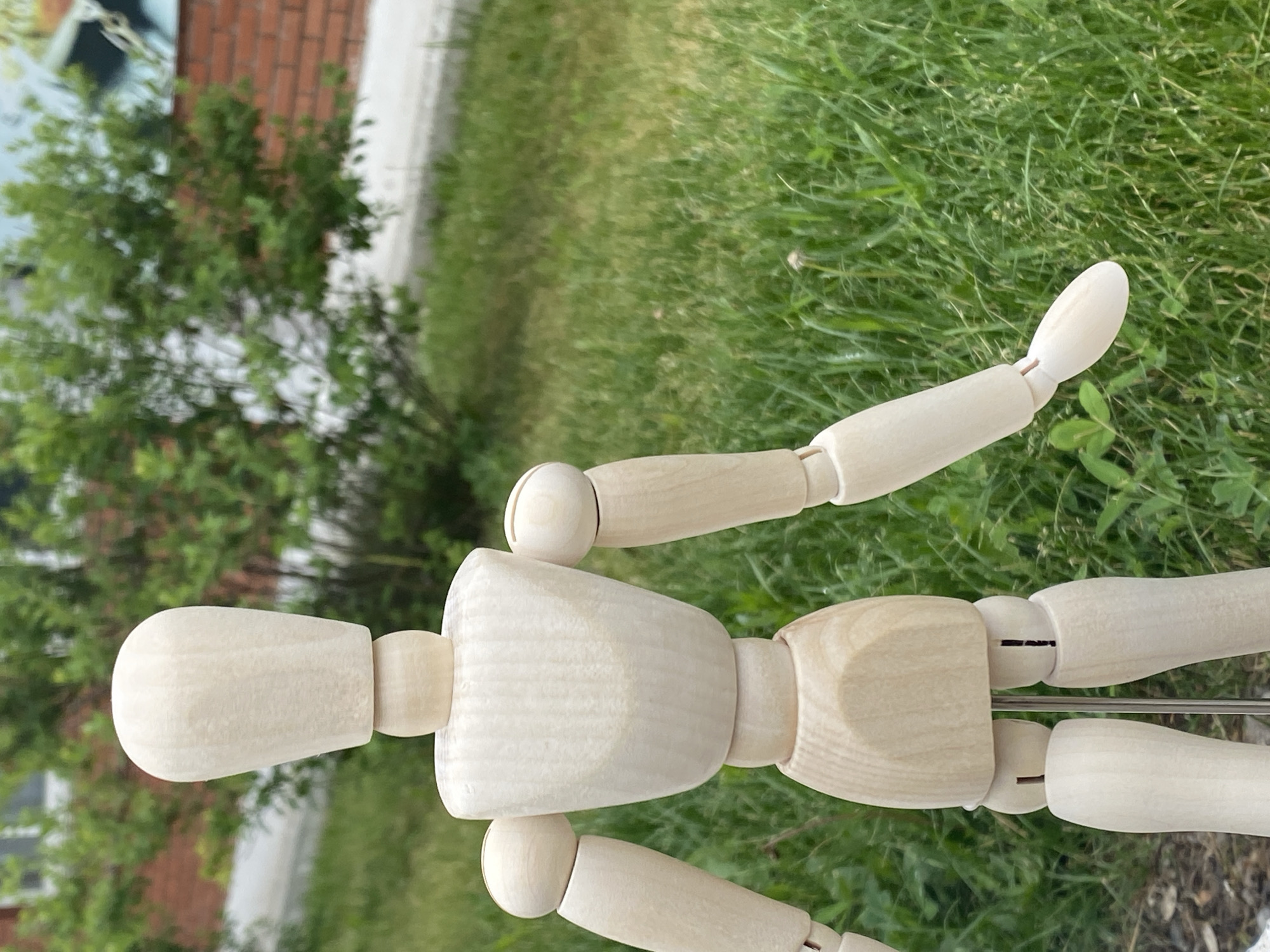The primary subject of the image is a light-colored wooden artist's mannequin, depicted vertically against an outdoor background in Chaikovsky, Russia. The mannequin is articulated, with distinct wooden joints at the shoulders, elbows, waist, hips, and knees. Its head is a simple oval shape, and its torso and limbs are smoothly carved from light-toned wood, showcasing subtle wood grain. The mannequin's left arm is slightly raised and bent at the elbow, while its right arm extends downwards, partially out of view. A slender metal rod or support is visible between its legs, suggesting how it stands.
The background is an out-of-focus outdoor environment, indicating a bright daytime setting with natural light. To the left of the mannequin, blurred green foliage of a bush or small tree is visible, with a reddish-brown brick wall and a lighter surface, possibly a sidewalk or road, faintly discernible behind it. The area to the right and beneath the mannequin is dominated by blurred green grass, suggesting a lawn or natural ground cover. There are no people or animals present, and no specific activity is taking place; the mannequin is static. No visible text is present in the image. The scene presents a simple, composed shot of an inanimate object within a natural, somewhat urban-adjacent outdoor setting.