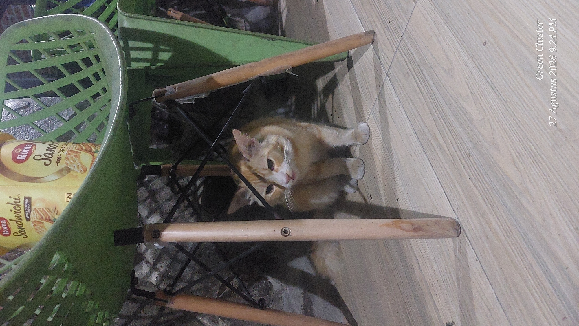 A light brown cat with white markings on its face and paws sits on a light-colored wooden floor under a green plastic chair. The cat's tail is not visible. In the background, there is a brick wall, and on top of the chair, there is a yellow cylindrical container with red text that reads "Roma Sandwich". The timestamp "27 Agustus 2026 9.24 PM" and "Green Cluster" are present in the bottom right corner of the image, indicating the time and potentially a location or event name.