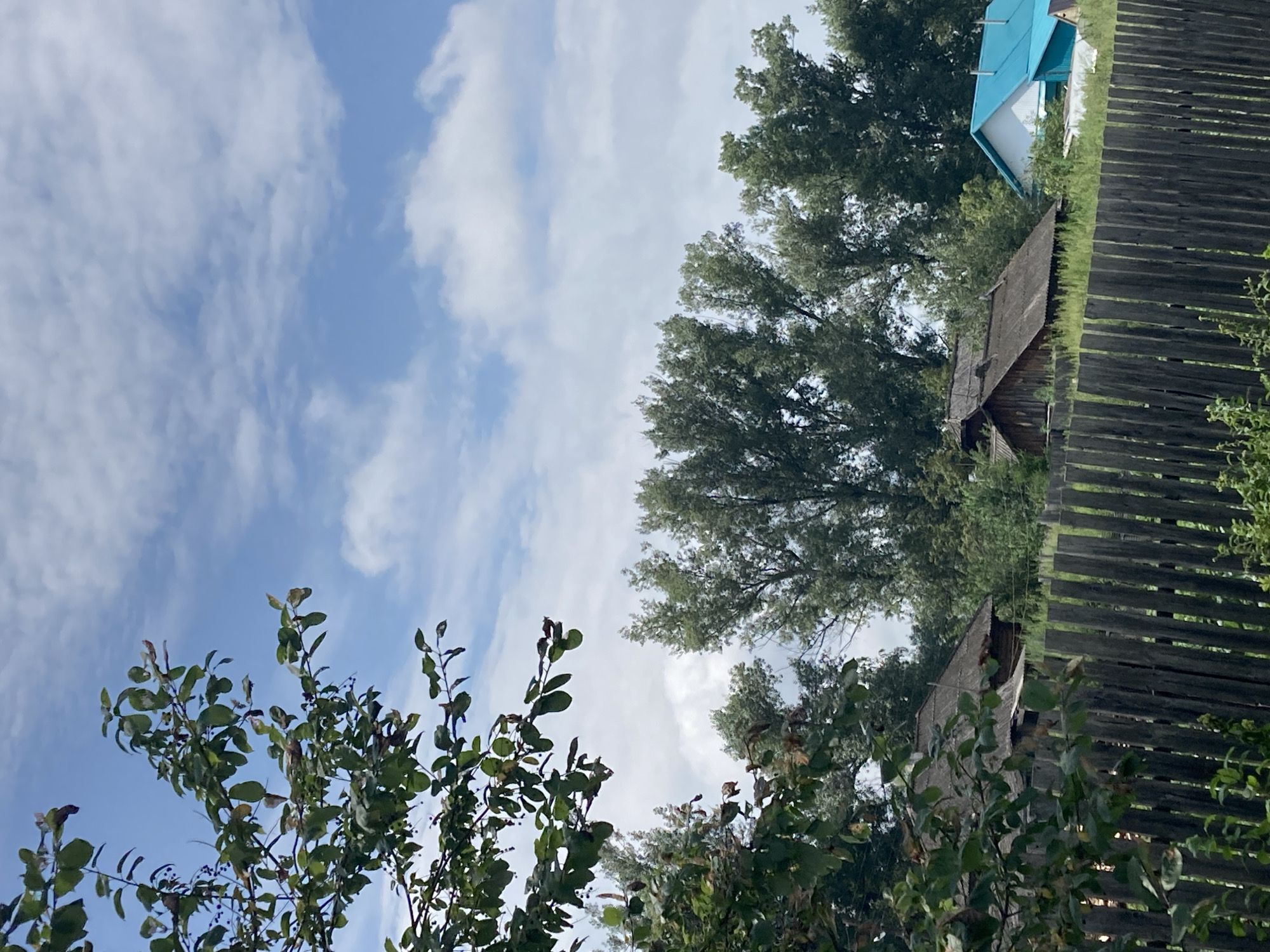 In the city of Unknown, Unknown, on a day with a partly cloudy sky, a wooden fence runs horizontally across the foreground of the image. Behind the fence, a cluster of trees with lush green foliage dominates the middle ground. To the right of the trees, a house with a bright blue roof stands out. In the background, the sky is a clear blue, dotted with white clouds. The image appears to be a snapshot of a rural or suburban landscape.