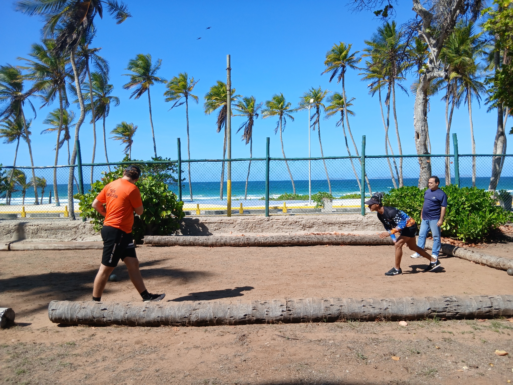 This vibrant image captures a sunny day at Playa El Agua, Venezuela, featuring a recreational game played on a sandy court. In the foreground, a natural bocce or petanque court is visible, defined by large, weathered logs, likely sections of palm tree trunks. The court's surface is reddish-brown sand.
Three men are engaged in the game. On the left, a man in an orange t-shirt, black shorts, and black sneakers is walking across the court. Partial text on his shirt reads "TEAM ANUCION". A small, dark ball lies on the sand near his feet. On the right, another player, wearing a black long-sleeved shirt with colorful patterns, black shorts, and a dark cap, is crouched low, intensely focused on the play, suggesting he is either throwing a ball or observing its trajectory. Behind him, a third man in a blue t-shirt and jeans stands, observing the game.
The midground features a green chain-link fence separating the sandy court area from the beach. Behind the fence is a strip of dense green foliage. In the background, the beautiful turquoise ocean with white waves breaking on a sandy shore stretches across the horizon. Numerous tall, slender palm trees with green fronds line the beach, extending into the distance under a clear, brilliant blue sky. Two small dark specks, likely birds, are visible in the sky. The strong, direct sunlight casts distinct shadows, indicating a bright and sunny day, likely around midday. The scene evokes a relaxed, tropical atmosphere.