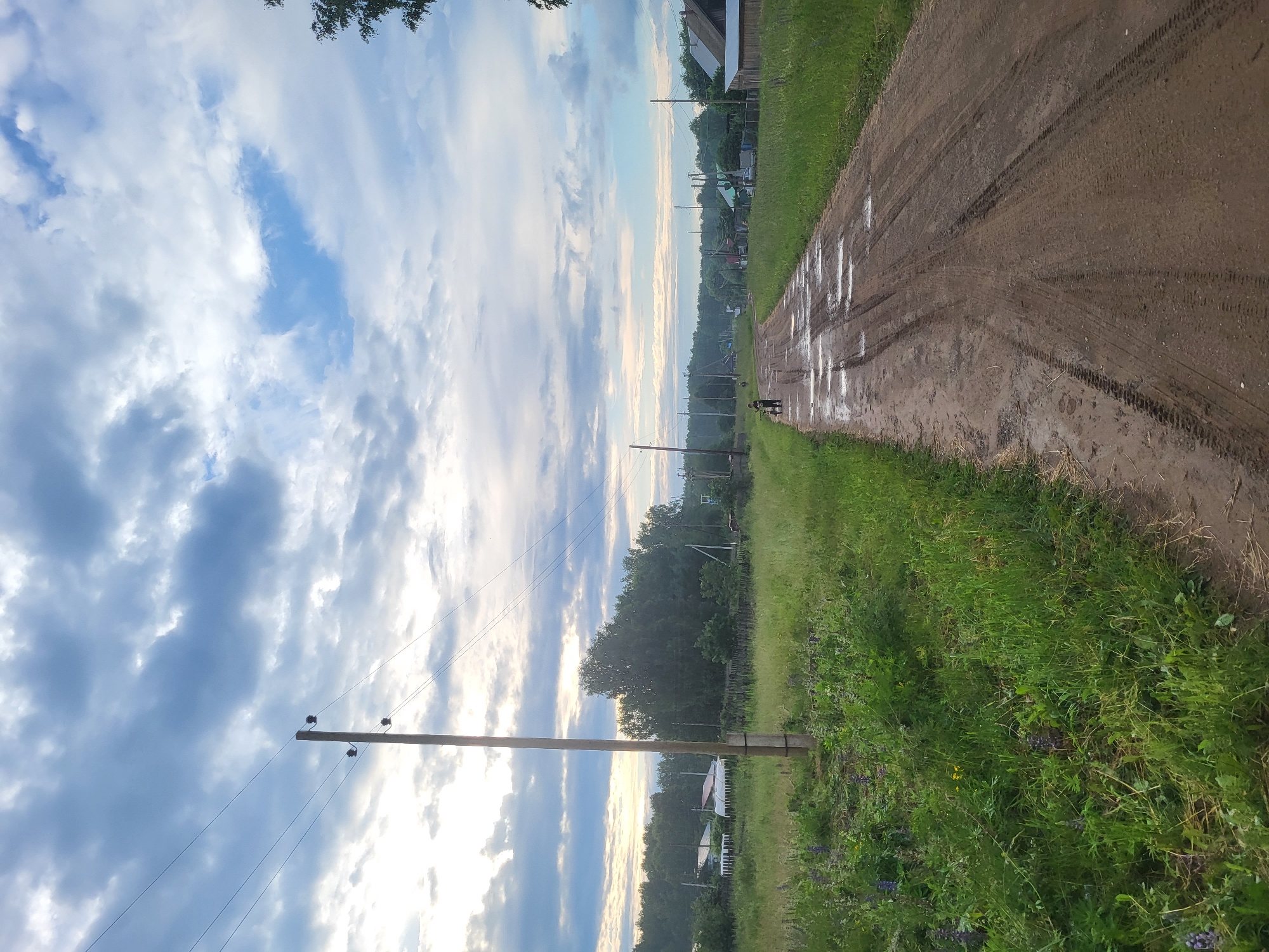 The image shows a dirt road in a rural setting, likely a village in Russia, given the location context of Зипуново. The road is muddy and wet, with tire tracks visible, suggesting recent rain. A lone figure, possibly a person with a dog or a small child, is standing on the side of the road. The scene is framed by lush green grass on one side and a line of trees and houses on the other. In the distance, more trees and buildings are visible, extending towards a hazy horizon. A wooden utility pole with wires runs parallel to the road. The sky is filled with dramatic clouds, some dark and heavy, others lighter and illuminated by sunlight, indicating a transition in weather, possibly after a rain shower. The overall mood is somewhat subdued, with a sense of quiet solitude. The time of day appears to be late afternoon or early evening, as the light is soft and diffused. There is no visible text in the image.