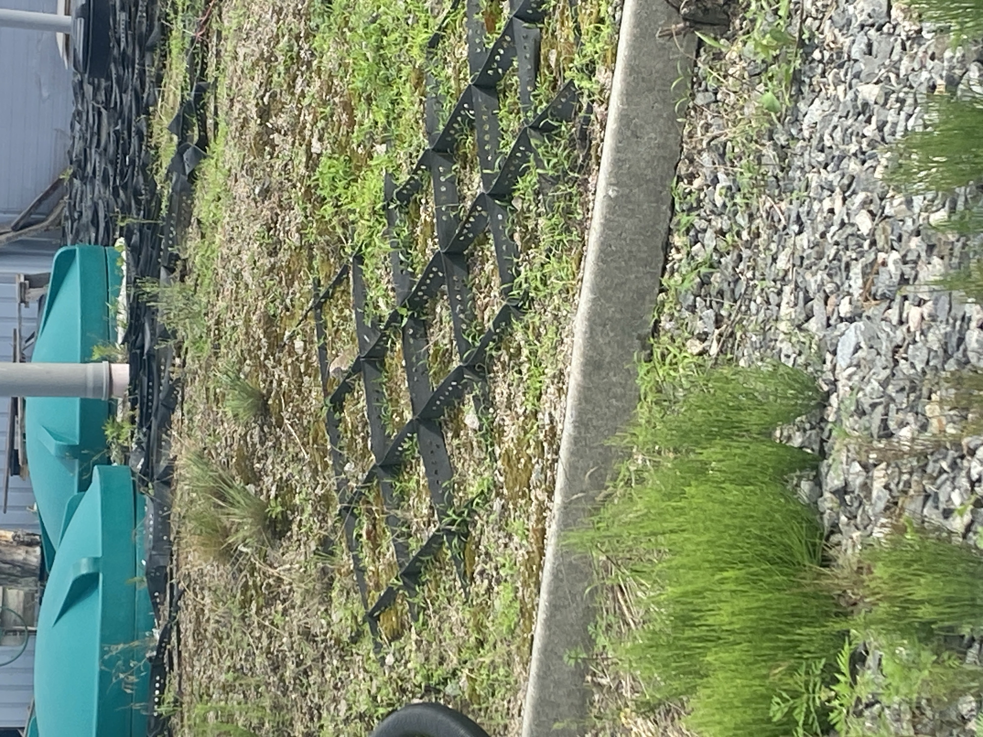 This is a medium-shot, eye-level, outdoor photograph taken in the city of Rozhny, Ukraine. The foreground features a gravel path with scattered rocks and clumps of thin, green vegetation. In the mid-ground, a concrete curb runs horizontally across the image, separating the gravel from a grid of black plastic cellular confinement material partially filled with soil and sparse green grass. A small bird, possibly a sparrow or similar species, is visible standing on the cellular confinement material, facing to the right. In the background, two large, teal-colored water tanks with rounded tops are visible. They are situated on a surface that also appears to be covered in the black cellular confinement material, with some areas of overgrown vegetation and what looks like construction debris. The overall environment suggests an industrial or agricultural setting, possibly related to water storage or management. The lighting appears to be natural daylight, with no harsh shadows, indicating an overcast or diffused light condition.