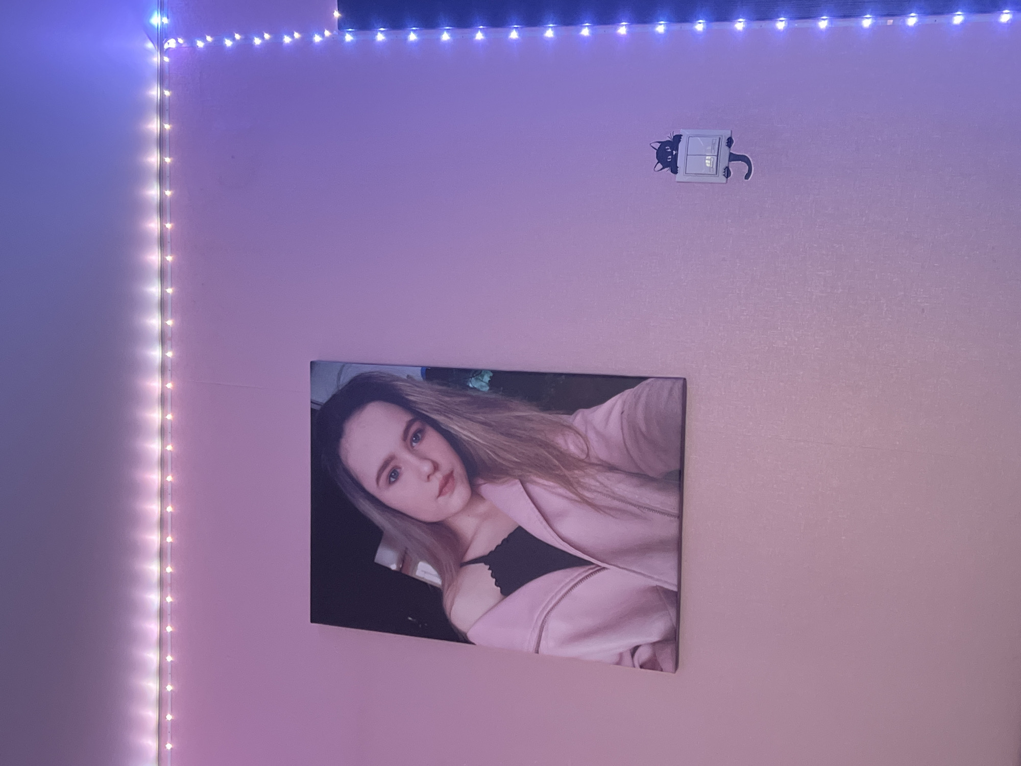 A slightly angled view of a room with a pink-toned wall, decorated with LED lights. A string of vertical LED lights is on the left side. A strip of horizontal LED lights is on the top of the wall. A framed photograph of a young woman is mounted on the wall, showing her in a pink jacket. To the right of the photo, a light switch is adorned with a black cat decal that appears to be interacting with it. The location is not identifiable as being in Noviy, Russia.