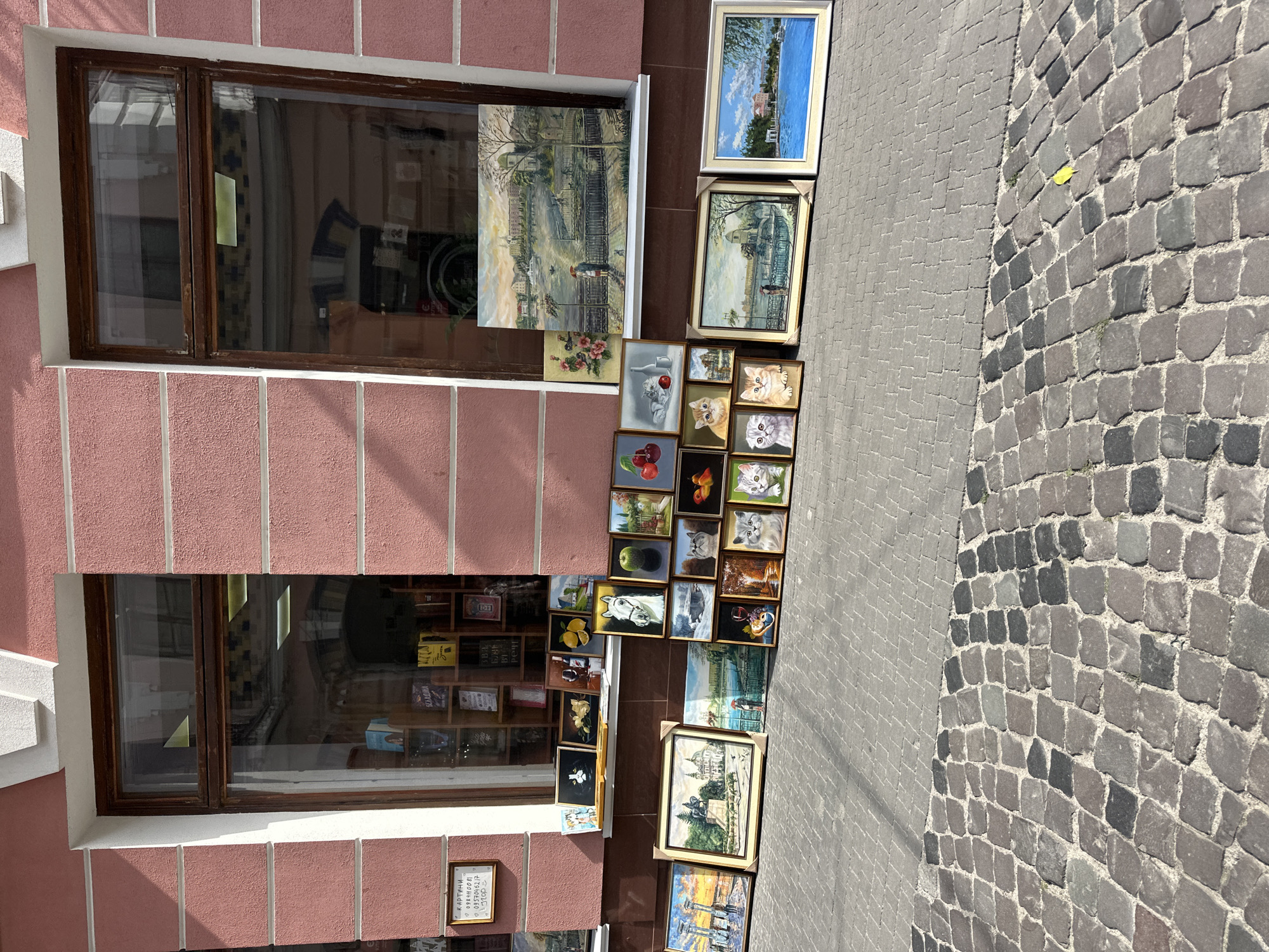 An outdoor art display features numerous framed paintings set up on a cobblestone sidewalk in front of a building with a rose-colored facade and large display windows. The paintings showcase a variety of subjects, including landscapes, still lifes of fruit and wine, and portraits of cats and a horse. Some paintings are leaning against the building, while others are propped up on the ground. Through the display windows, shelves of books are visible inside the building, suggesting it might be a bookstore or gallery. The environment appears to be a city street on a sunny day.