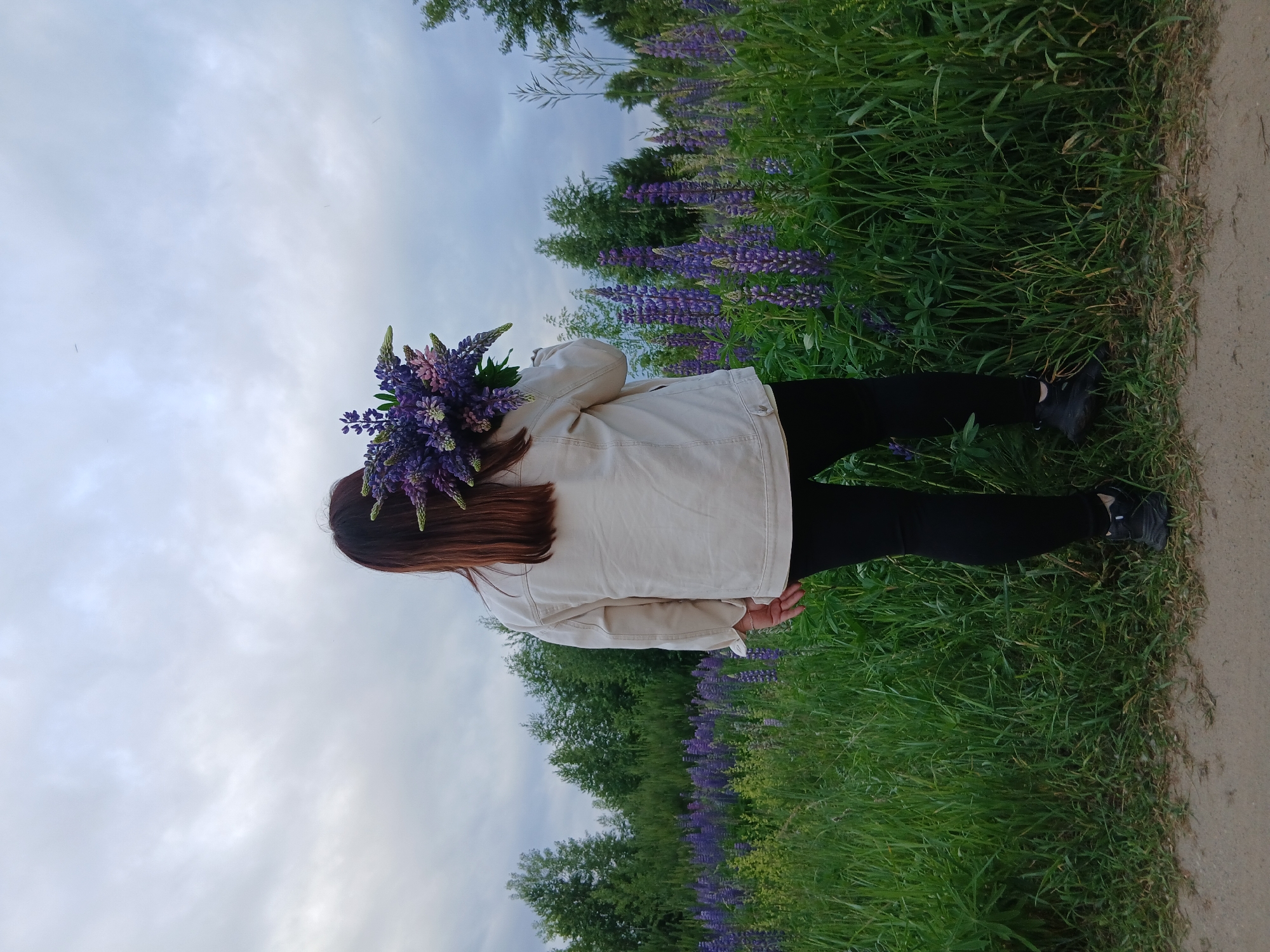In this vertical, outdoor photograph, a person is depicted from behind, standing in a field of tall green grass and purple lupine flowers. The person is wearing a light-colored jacket and black pants, and they are holding a large bouquet of purple lupine flowers. Their long, reddish-brown hair is visible below the bouquet. The background shows a line of trees and a cloudy sky. A dirt path runs along the right edge of the frame, separating the grassy area from the background. The lighting suggests it is daytime, possibly late afternoon or early evening, with diffused light from the overcast sky. The setting appears to be a natural, rural environment, likely in or near Chaikovsky, Russia, given the presence of lupines which are common in the region. The overall mood is serene and peaceful, with a focus on the natural beauty of the landscape and the simple act of gathering flowers. There is no visible text in the image.