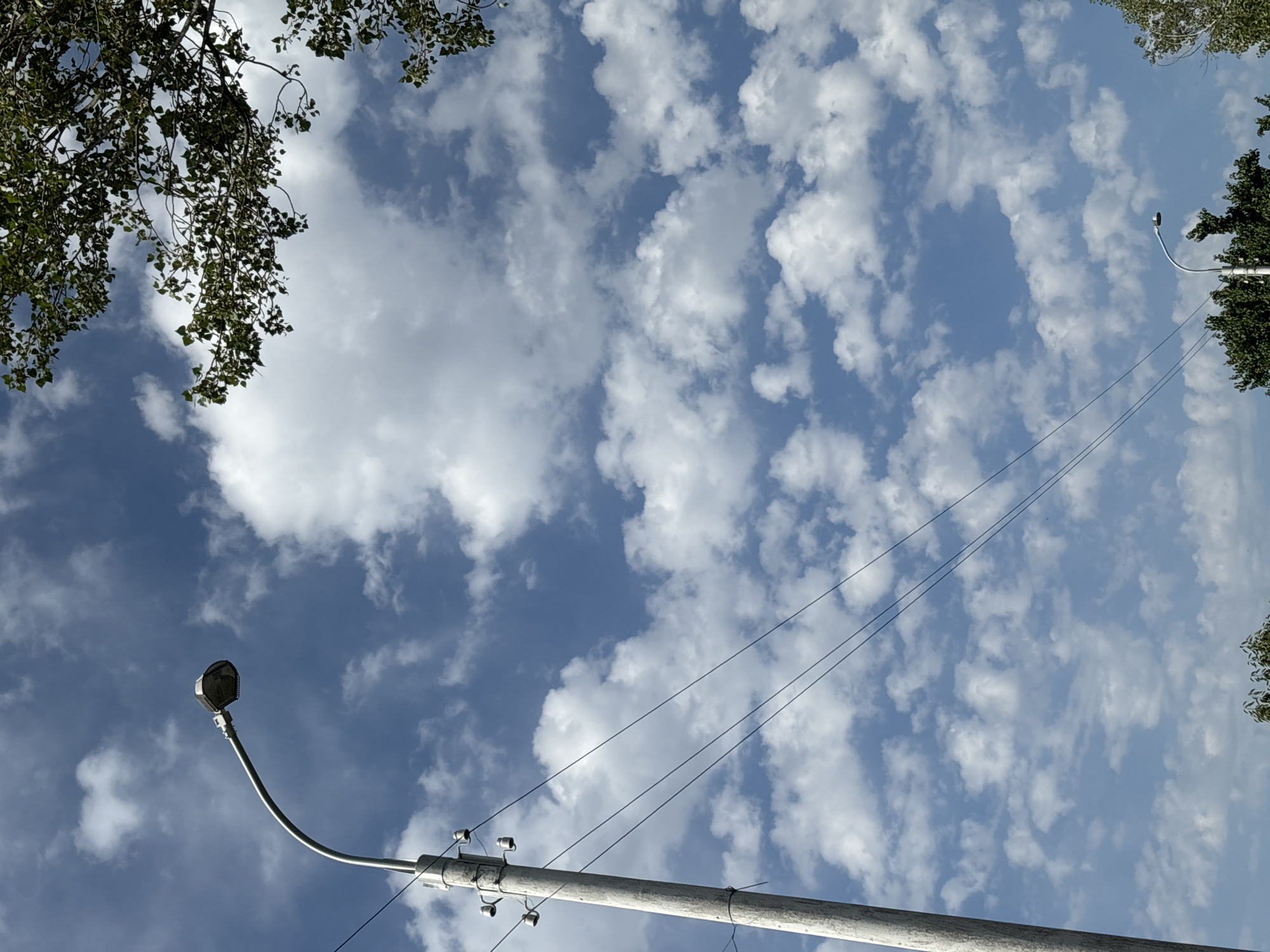 The image depicts a bright, cloudy day in Tashkent, Uzbekistan. A tall, concrete utility pole stands on the left side, with several electrical wires extending diagonally across the frame. Above and to the right, branches of a leafy green tree are visible against a blue sky filled with scattered white clouds. In the lower right portion of the image, a smaller lamppost is visible, peeking above some trees. The scene appears to be an outdoor urban or suburban environment.