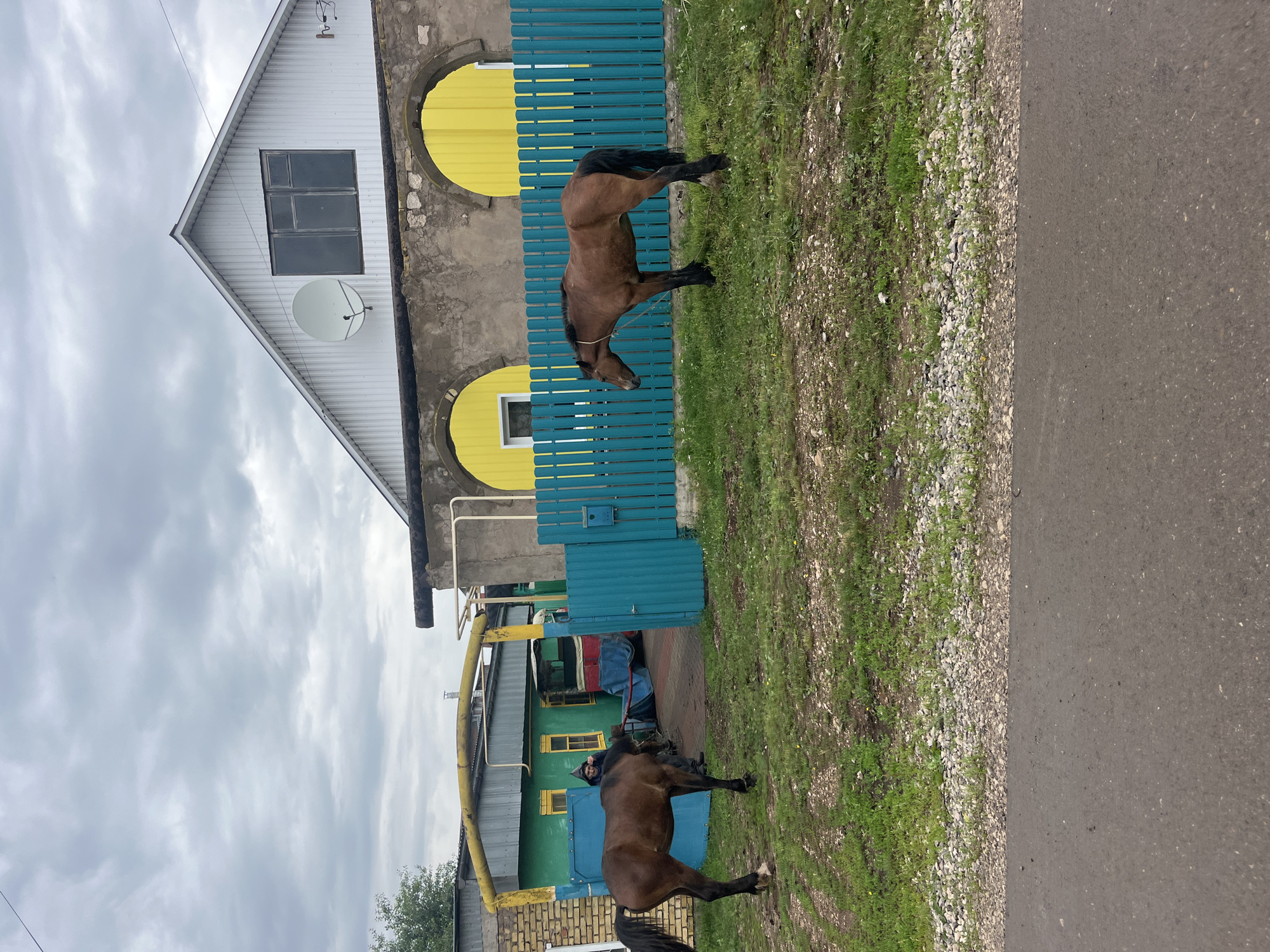 The image depicts a scene in the city of Oktyabrsky, Russia, featuring two brown horses in a grassy, unpaved area adjacent to a residential property. In the background, a one-story house with a white gable roof is visible, featuring a satellite dish and a multi-paned window. The house is attached to a structure with two arched doorways painted bright yellow. A turquoise wooden fence separates the grassy area from the property. A person in dark clothing is standing near the entrance to a green building, which appears to be part of the residential complex, interacting with one of the horses. A yellow pipe runs overhead across the scene, connecting different structures. The ground in the foreground consists of asphalt, transitioning to gravel and then grass. The sky is overcast with clouds.