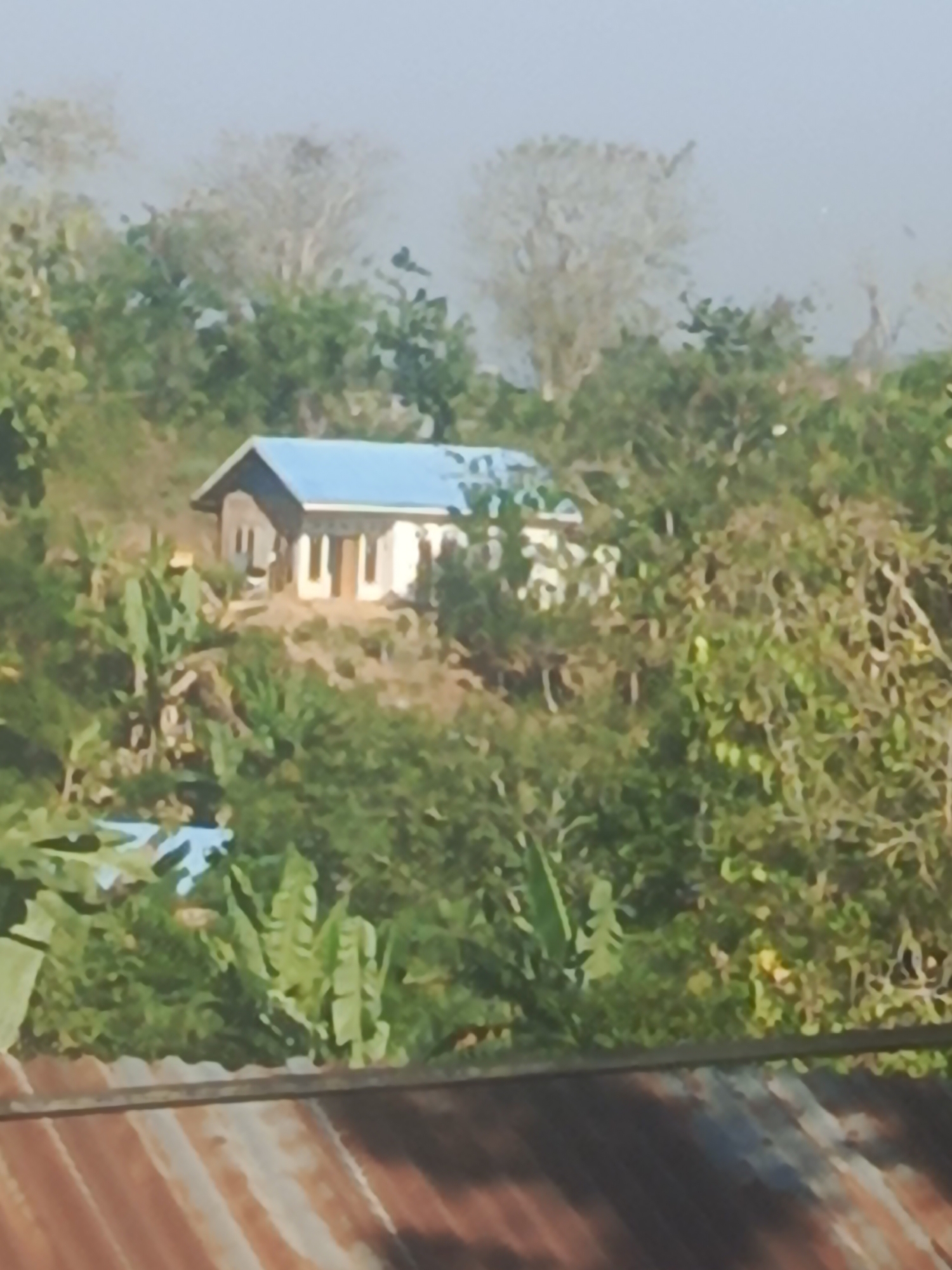 The image shows a white house with a blue roof situated on a hill covered in lush green vegetation. The house has multiple windows and a prominent entrance with pillars. In the foreground, a rusty corrugated metal roof is visible, suggesting a viewpoint from another structure. The overall scene depicts a rural or semi-rural setting, likely in a tropical or subtropical climate, characterized by abundant plant life and a modest dwelling. The background is hazy, with bare trees visible against a light-colored sky. Without further information or context, it is impossible to determine the specific location within Kendari, Indonesia, but the environment suggests a hilly, vegetated area.