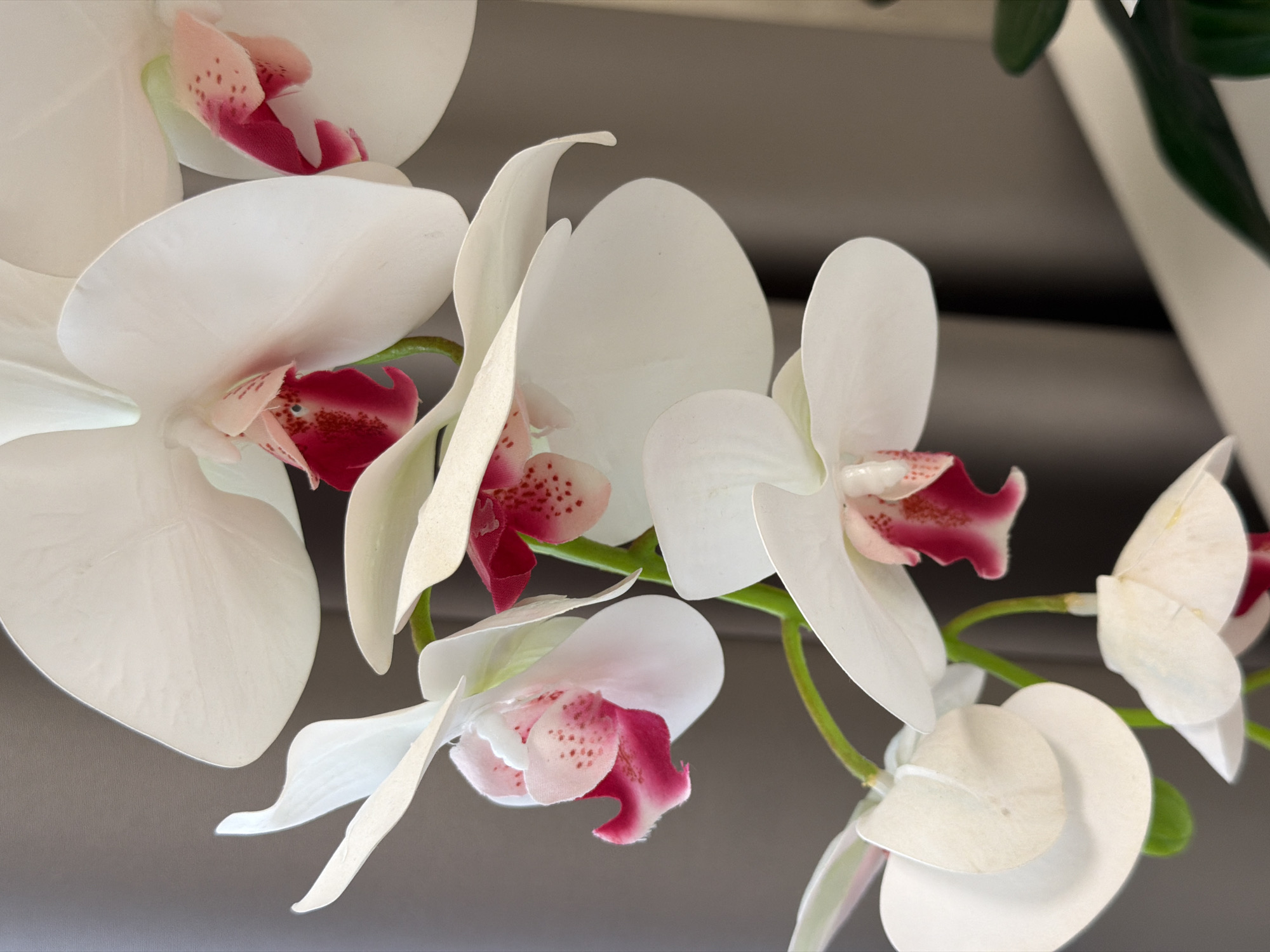 A close-up, vertical shot features a spray of white phalaenopsis orchids against a muted gray background. The orchids, which appear to be artificial, showcase delicate pink speckling and deep magenta accents within their centers. The lighting highlights the smooth, waxy texture of the petals. The background consists of vertically draped, textured fabric. The scene is devoid of any identifiable human presence, specific city landmarks, or any contextual information that would suggest a location within a city.