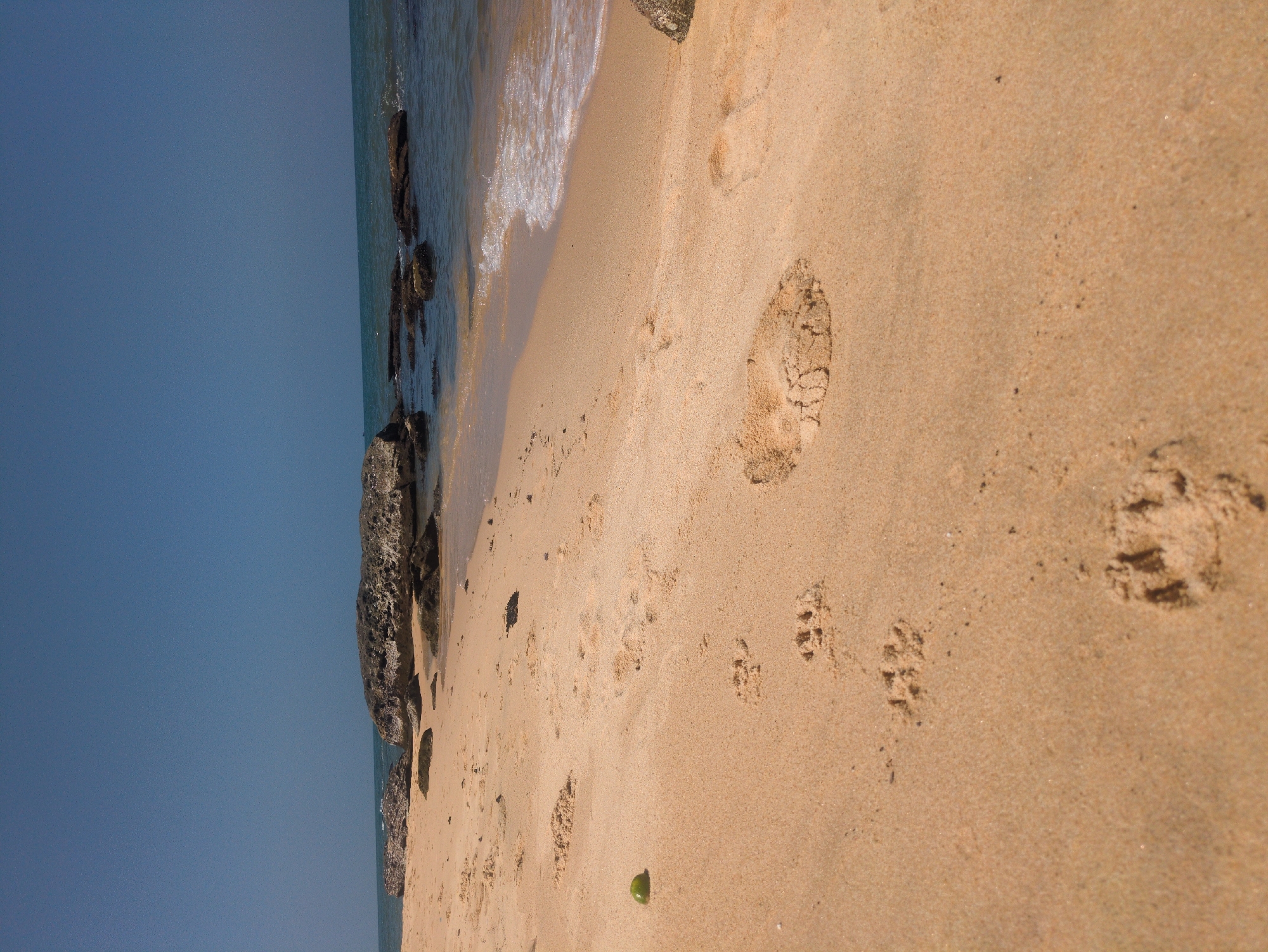 The image shows a sandy beach with scattered rocks along the shoreline. There are waves reaching the sand. Footprints of varying sizes are visible, indicating the presence of humans and possibly animals. A small green object is also present on the sand. The sky is clear and blue. The location is potentially Phú Quốc, Vietnam.