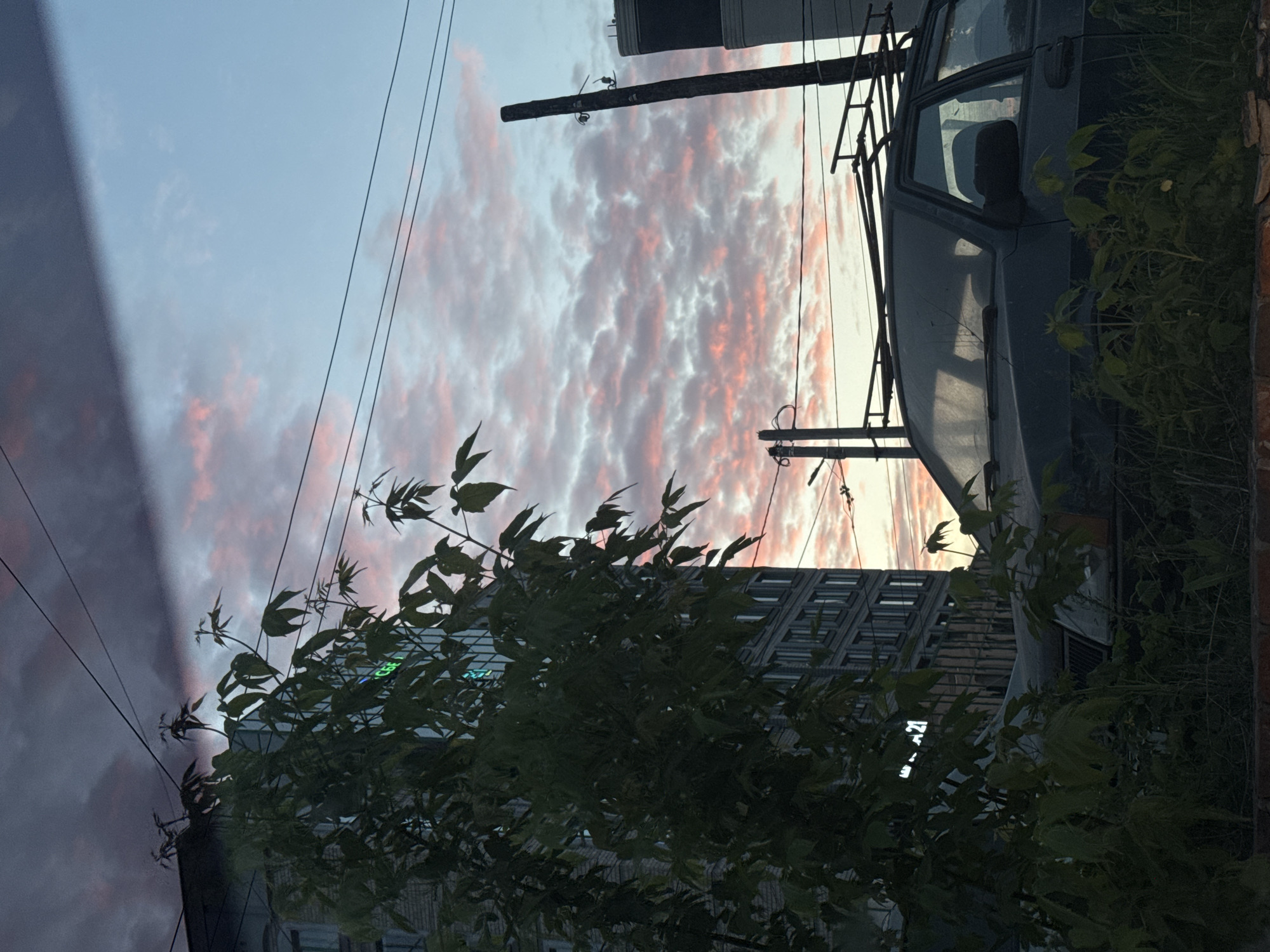 The image is taken in Izhevsk, Russia. The sky is filled with pink clouds. There is a building, an old car, electric poles, and wires in the frame. A large bush obscures some of the foreground.