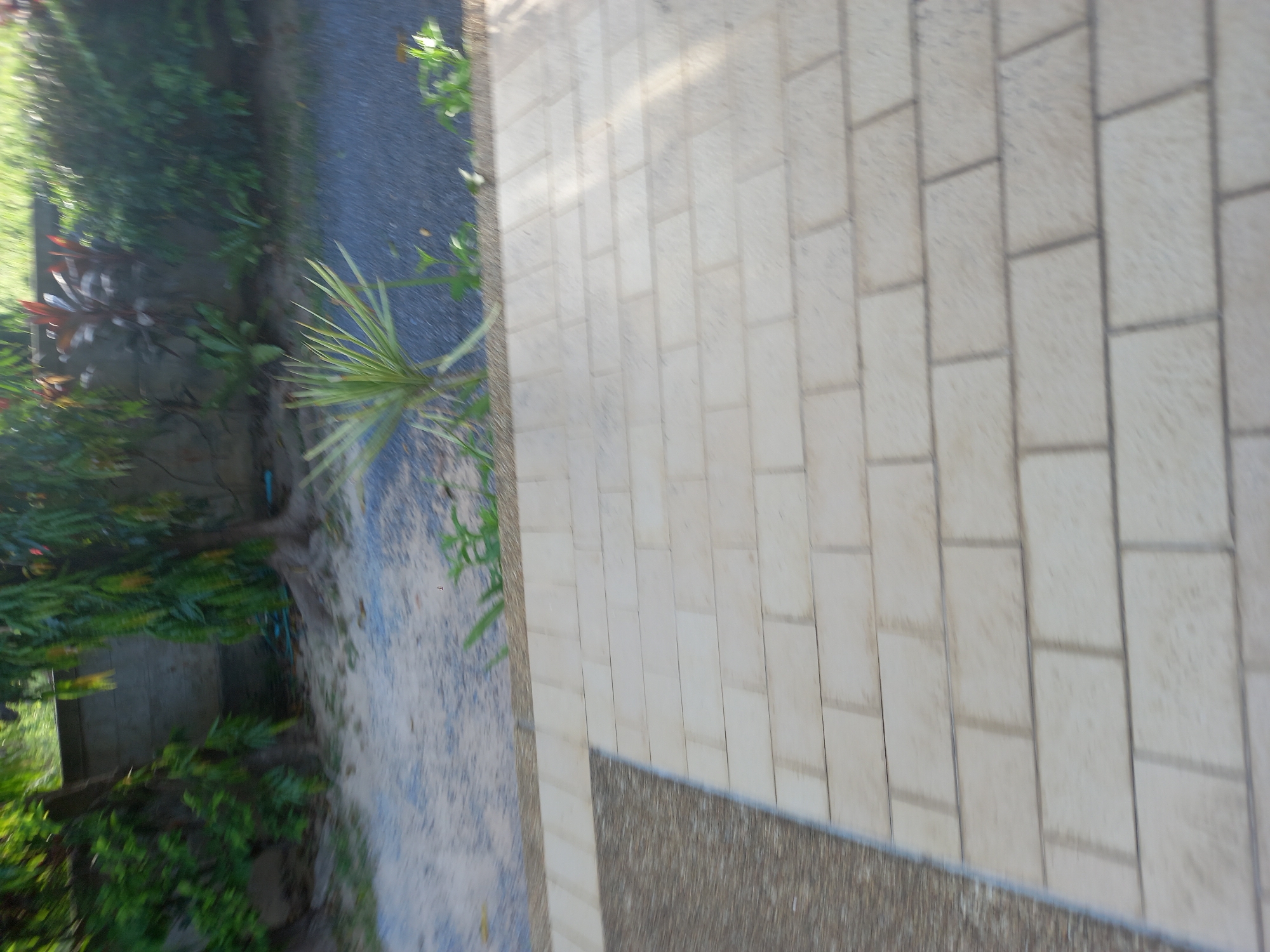 The image depicts an outdoor scene with a clear division between a lush, green garden area on the left and a paved pathway on the right. The garden features dense foliage, including various plants with large leaves and some with reddish hues, suggesting a tropical or subtropical climate. Some of the plants appear to be ornamental.
The pathway is constructed with rectangular, light-colored tiles laid in a staggered pattern, indicative of a walkway or patio. To the right of the tiled area, there is a darker, textured surface, possibly gravel or a concrete aggregate, bordering the tiles. A strip of this darker material also separates the garden from the tiled pathway.
The scene appears to be outdoors, with natural light casting shadows, suggesting it is daytime. The overall atmosphere is serene and natural. No people or specific objects like furniture are visible. The camera angle is high, looking down onto the scene, and the image is slightly tilted. The focus is on the textures and patterns of the garden and the pathway. The specific location context provided is Baan Mae Nam, Thailand.