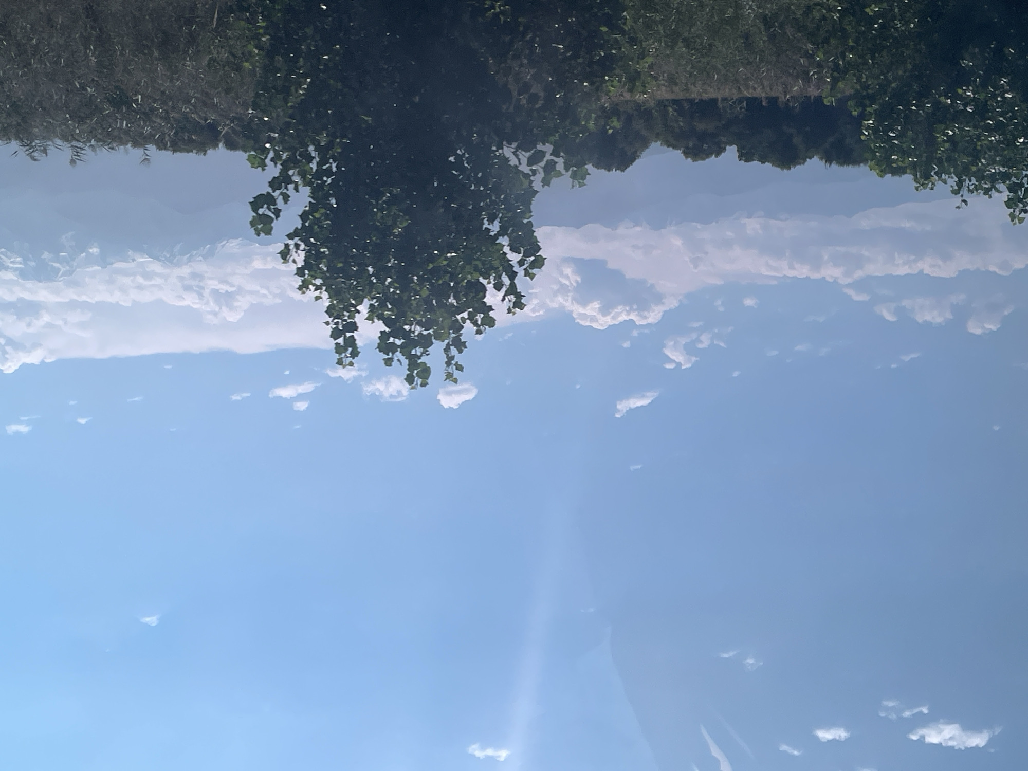 The image depicts a landscape with a clear blue sky dotted with scattered white clouds. In the foreground, several trees with green foliage are visible. A prominent, bushy tree stands in the right-center of the frame. In the background, a range of mountains can be seen, some with snow-capped peaks. The landscape appears to be rural or natural, with vegetation and possibly fields extending towards the mountains. The lighting suggests a daytime scene, with sunlight illuminating the sky and the landscape. The specific location in the city of Tonkeris, Kazakhstan, is not visually identifiable from the image itself, as no distinctive landmarks or urban elements are present. The scene is a static outdoor view of a natural environment.