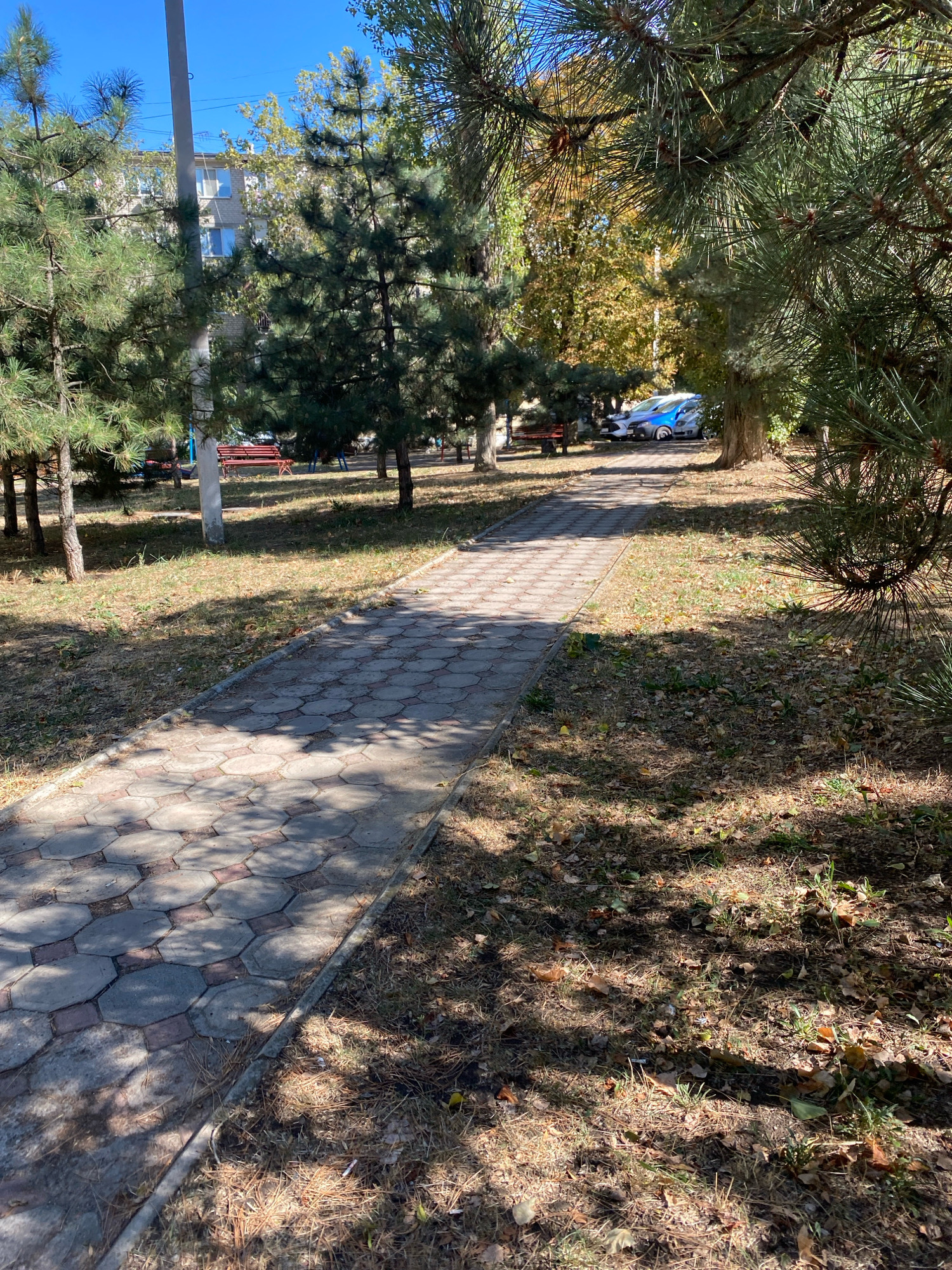 The image depicts a sunlit park pathway in Chornomorsk, Ukraine. A paved walkway made of interlocking hexagonal gray concrete pavers with small red square accents runs diagonally from the lower left to the upper right of the frame. The pathway is lined with dry grass and fallen pine needles. On the left side of the pathway, several pine trees stand, and beyond them, a light-colored, multi-story building with windows is visible. A tall utility pole stands near the building. Two red park benches are situated in the grassy area to the left of the pathway, further in the background. On the right side of the pathway, more pine trees are present, casting shadows on the ground. In the upper right quadrant of the image, a white and blue vehicle is parked. The sky is clear and blue. The overall scene suggests an outdoor public space during daylight.