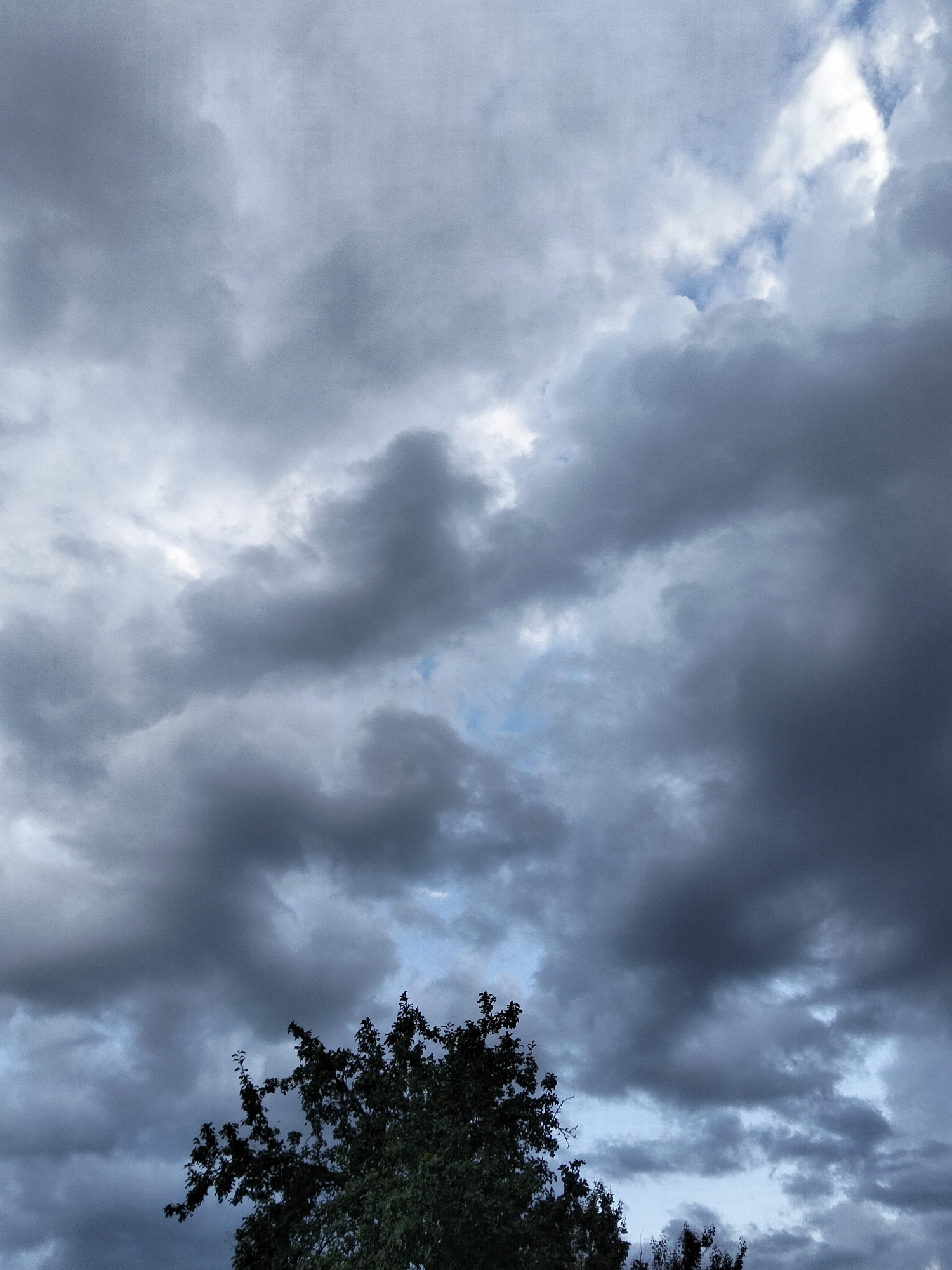 The image shows a cloudy sky with dark, gray clouds dominating the upper portion. Patches of lighter sky, some appearing blue, are visible between the clouds. In the lower part of the frame, the dark silhouettes of the tops of trees are visible against the sky. There are no people or man-made structures clearly depicted in the image. The scene appears to be outdoors, likely in a natural or semi-natural environment, given the presence of trees. The lighting suggests it may be overcast or approaching evening. The location in Ustyvytsia, Ukraine, would imply this is a view of the Ukrainian sky.